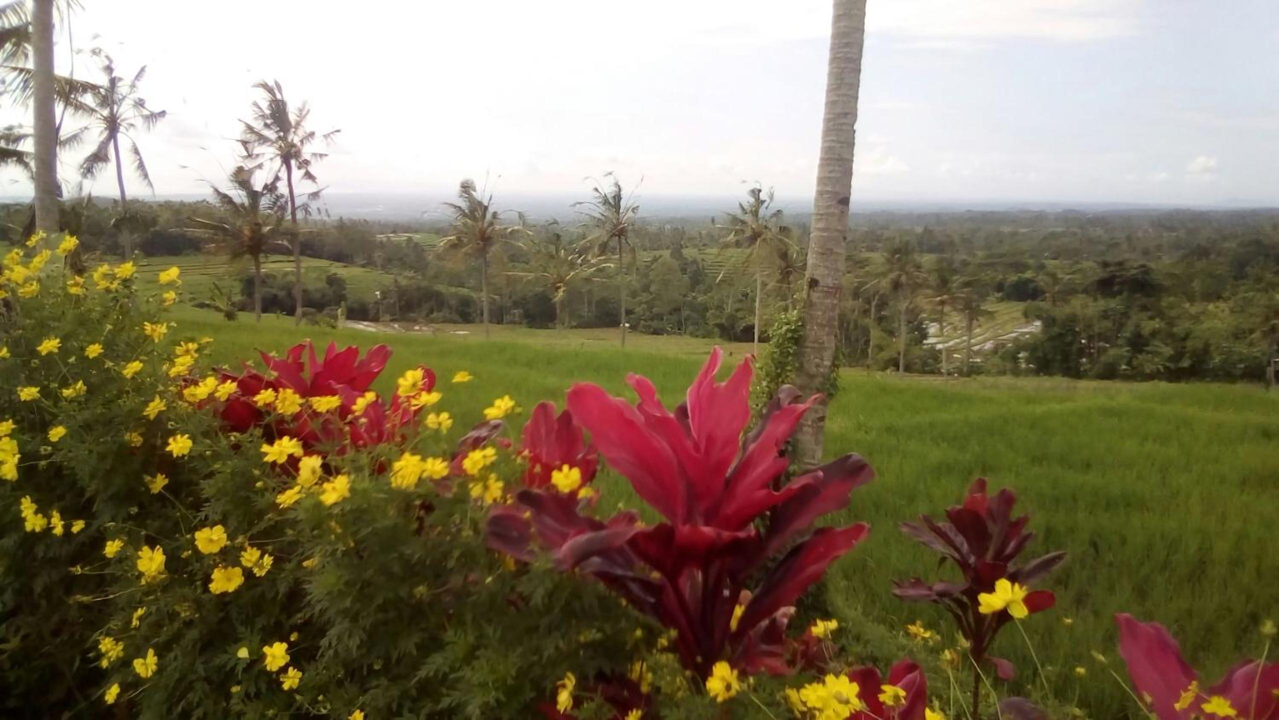 Ijen Farmer Homestay