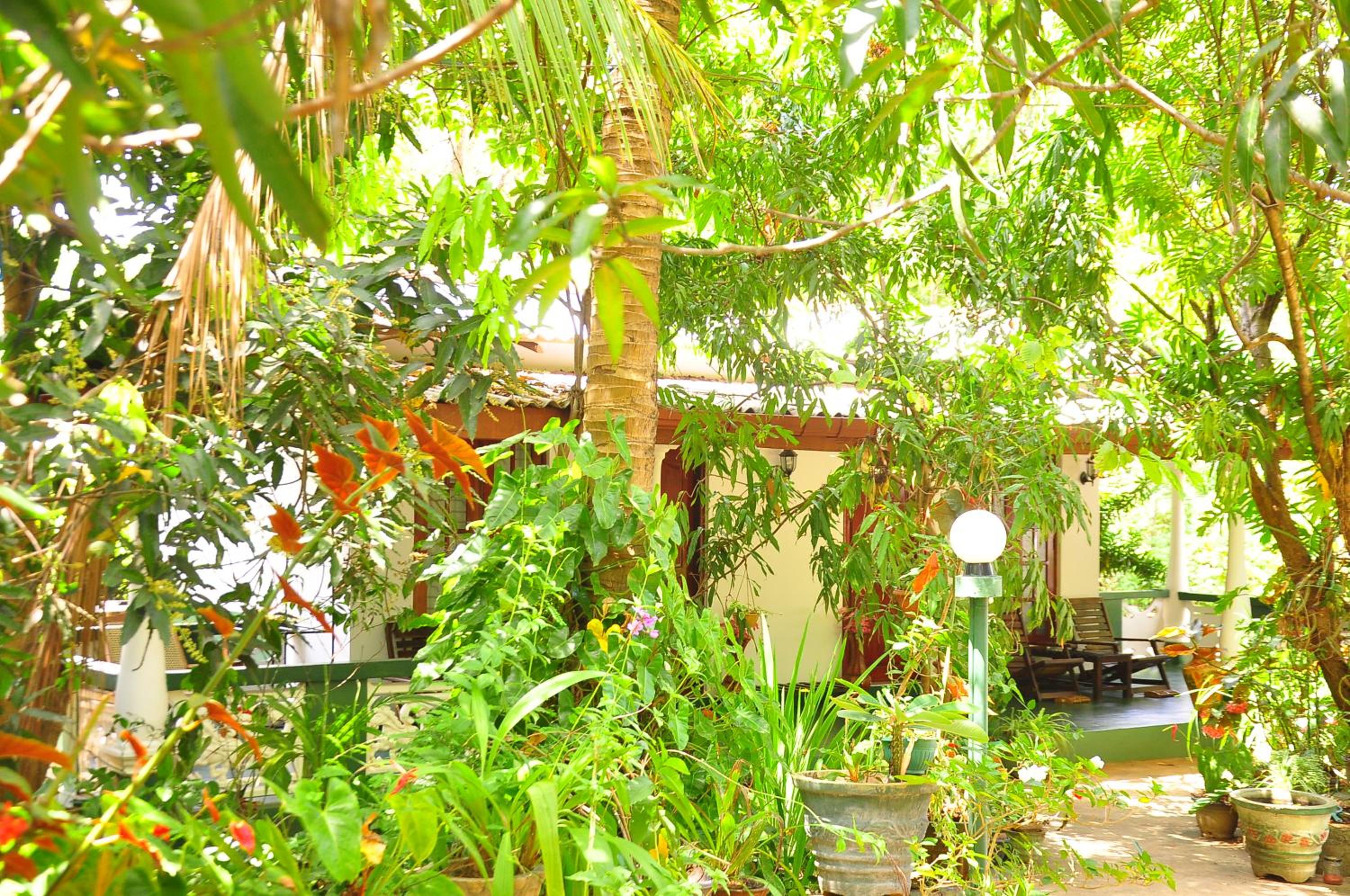 Sigiri Rock Side Home Stay