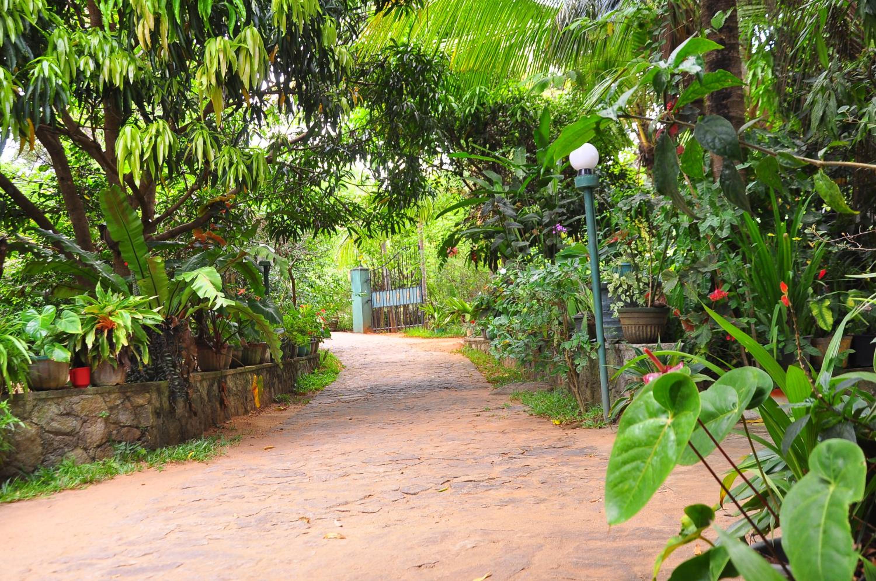 Sigiri Rock Side Home Stay