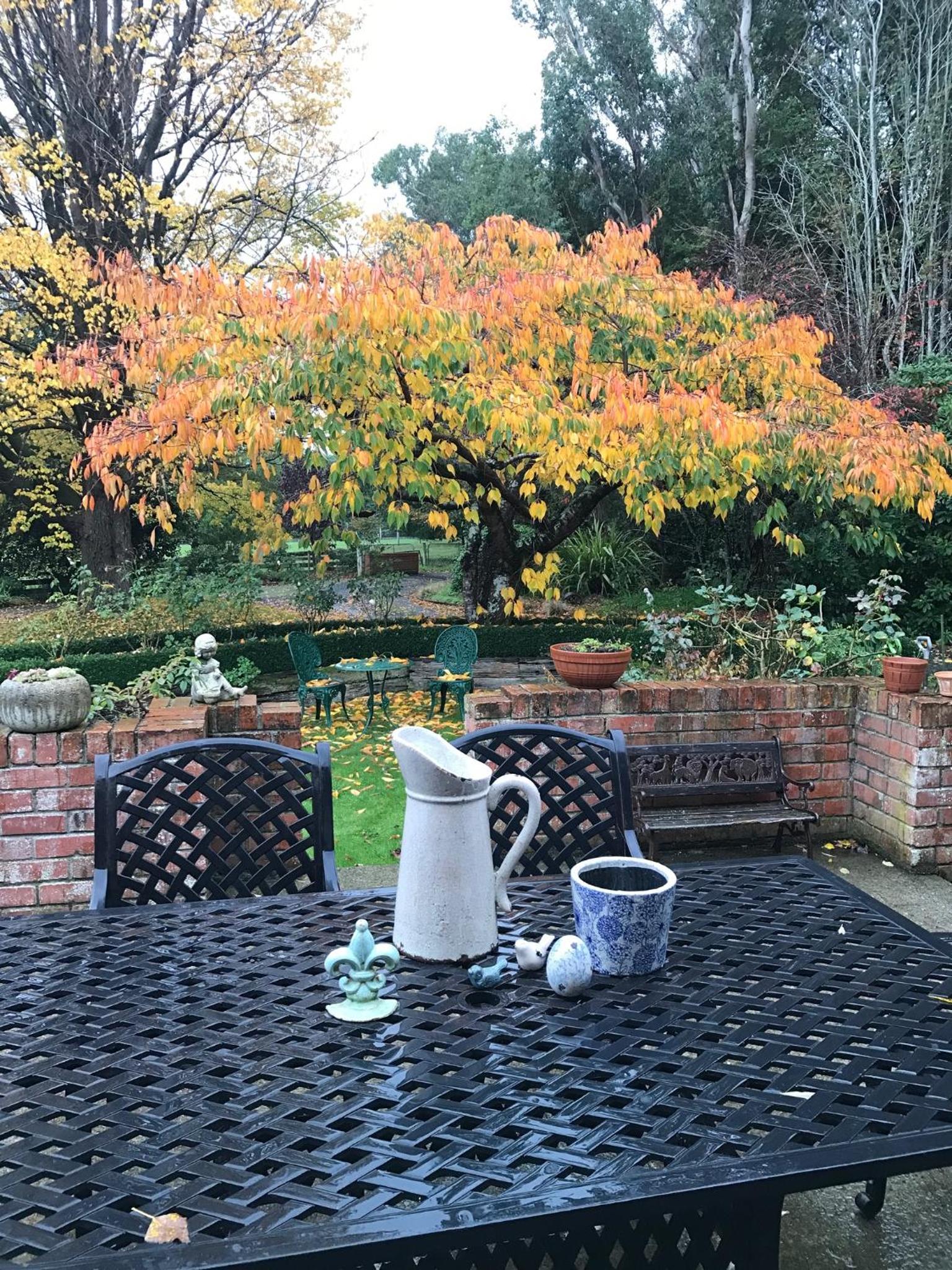 McIvor Lodge view 5