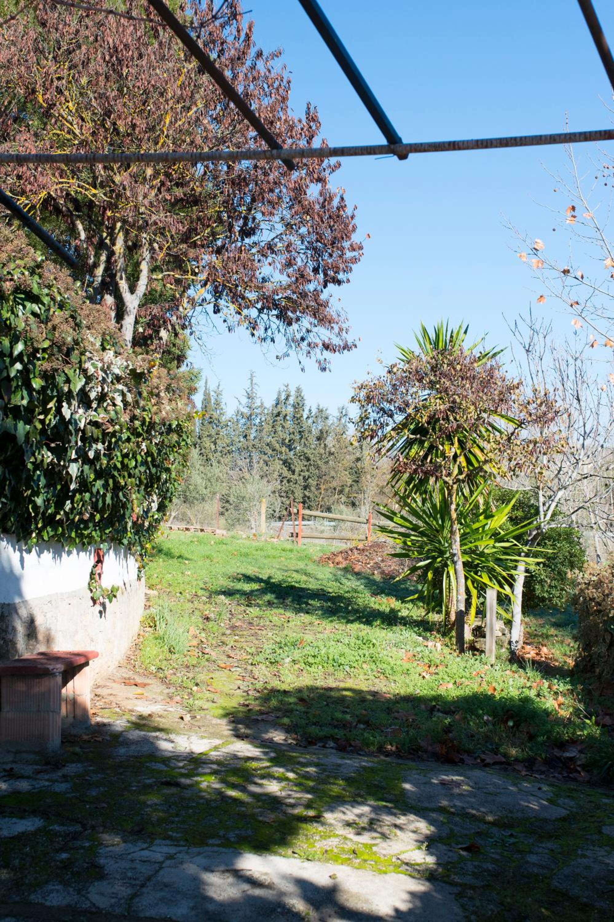 Apartamento Rural Cristi view 5