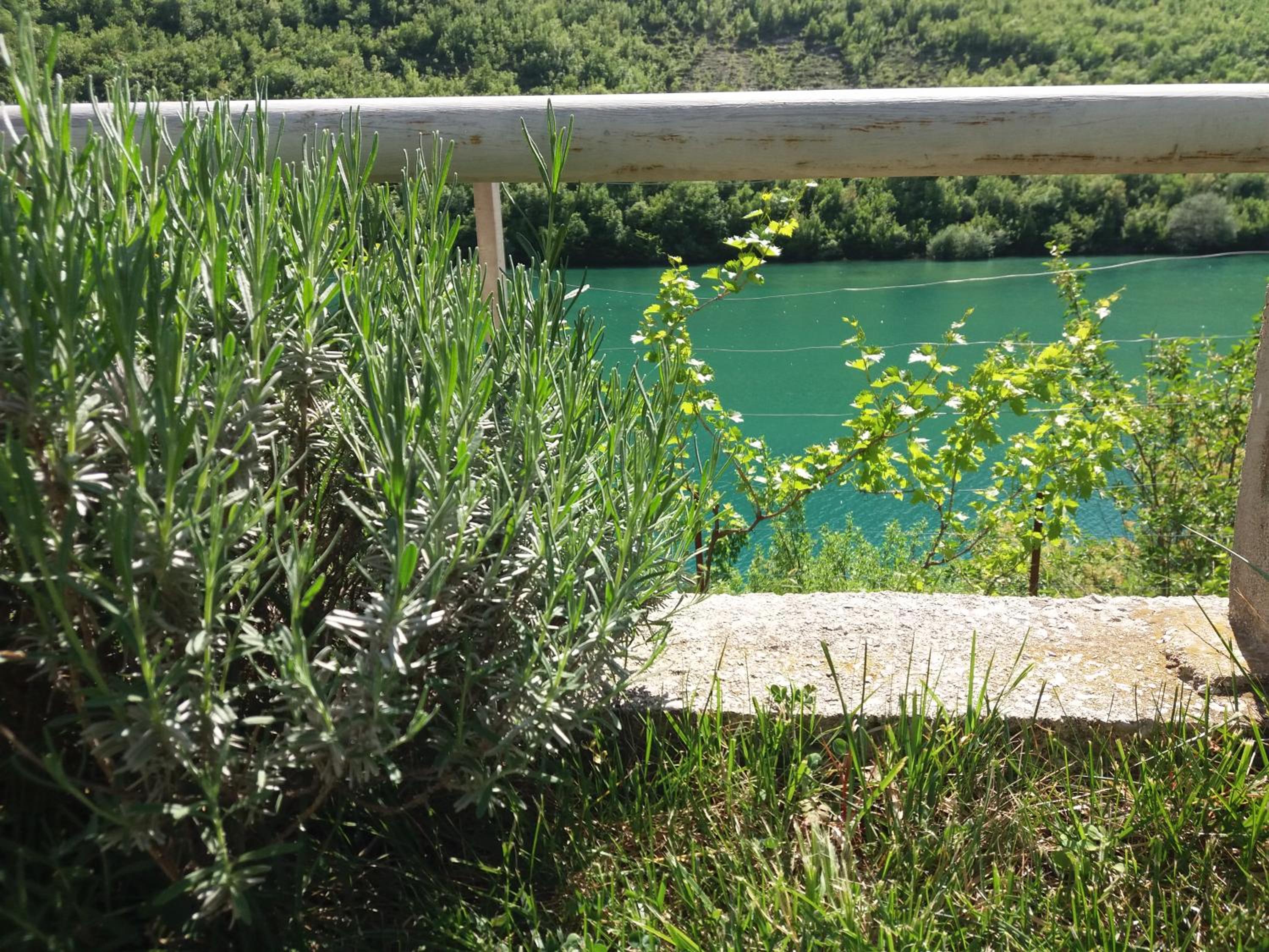 Kuća Lavanda