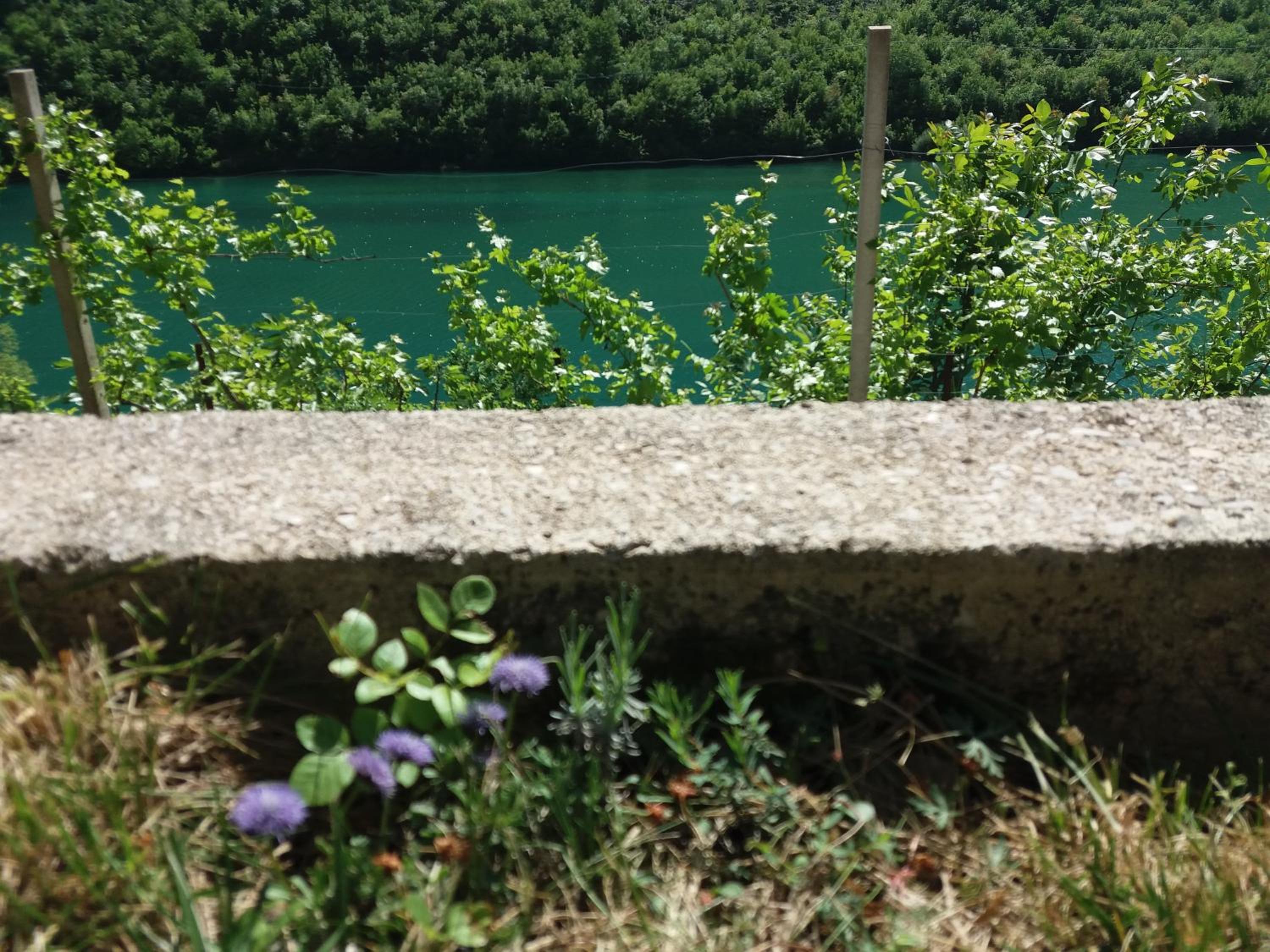 Kuća Lavanda