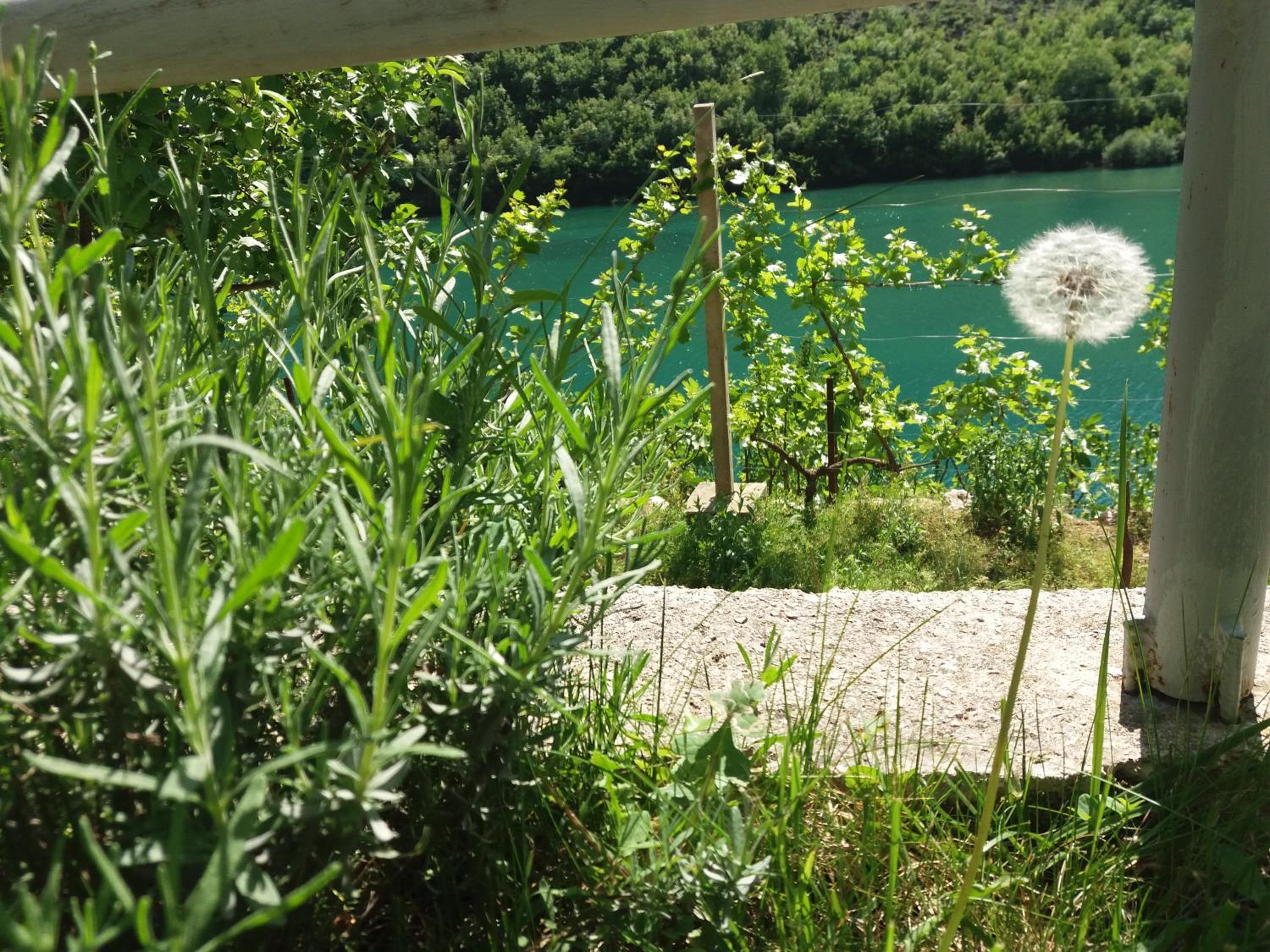 Kuća Lavanda