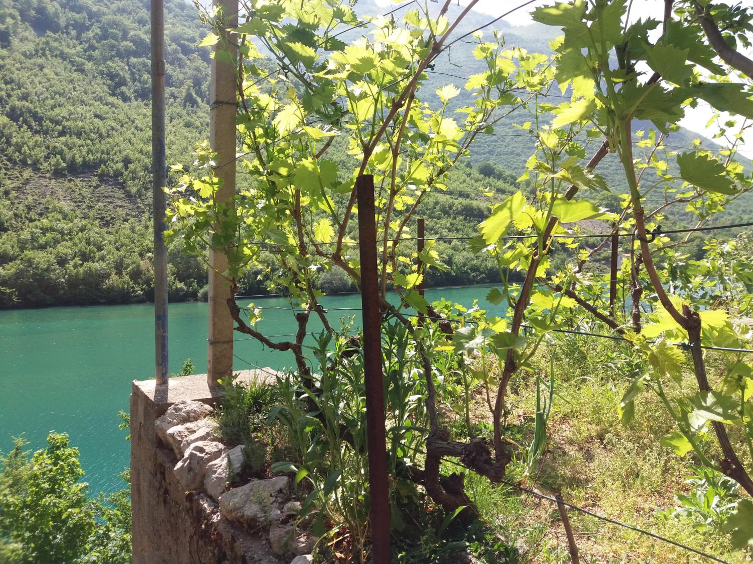Kuća Lavanda