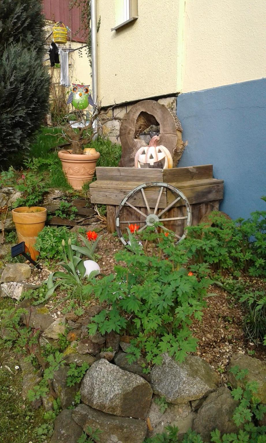 Photo 45
