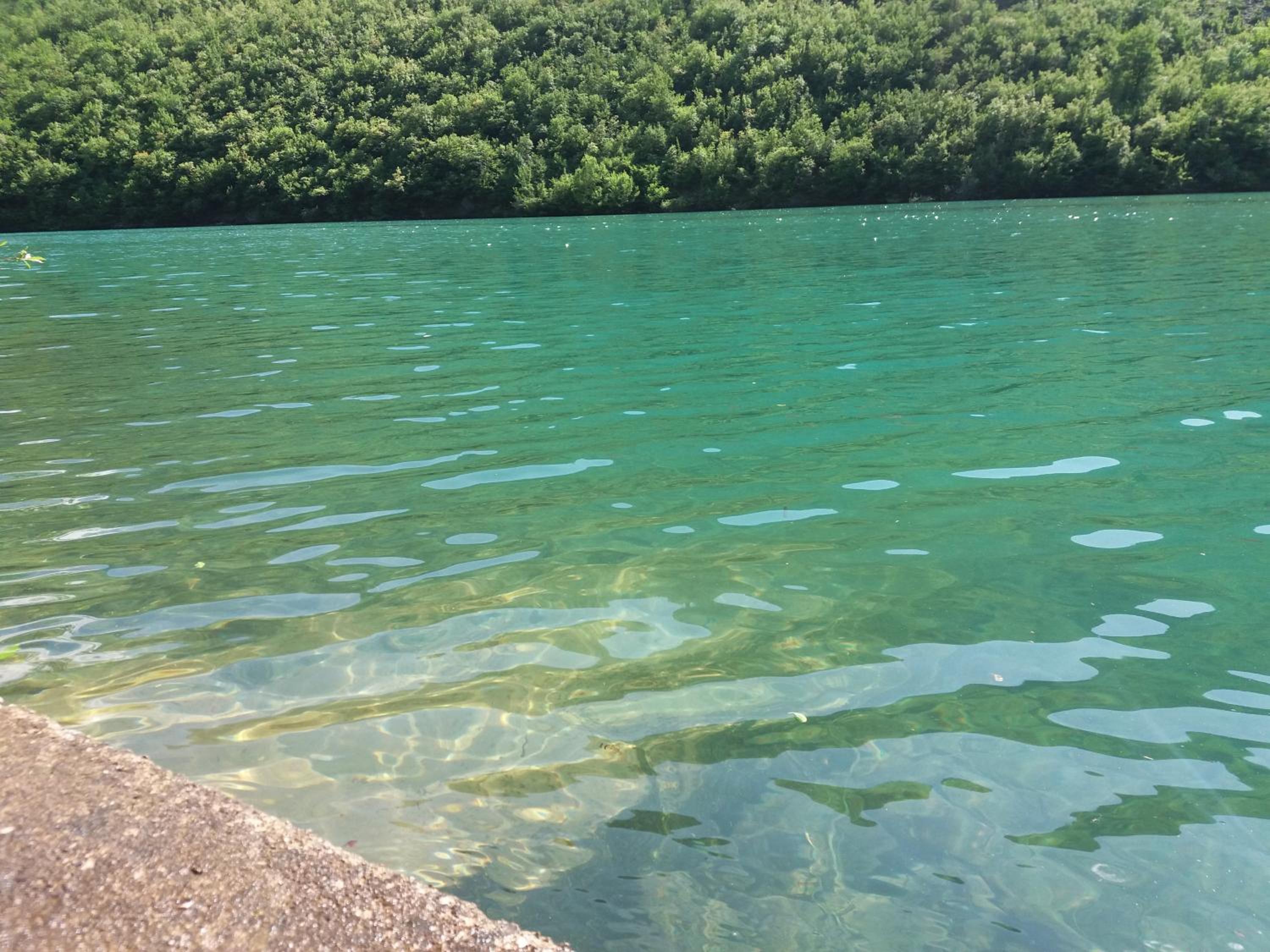 Kuća Lavanda
