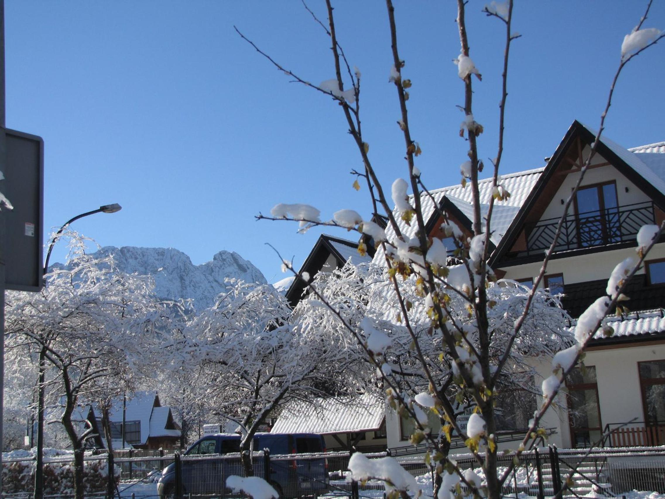 Photo 48