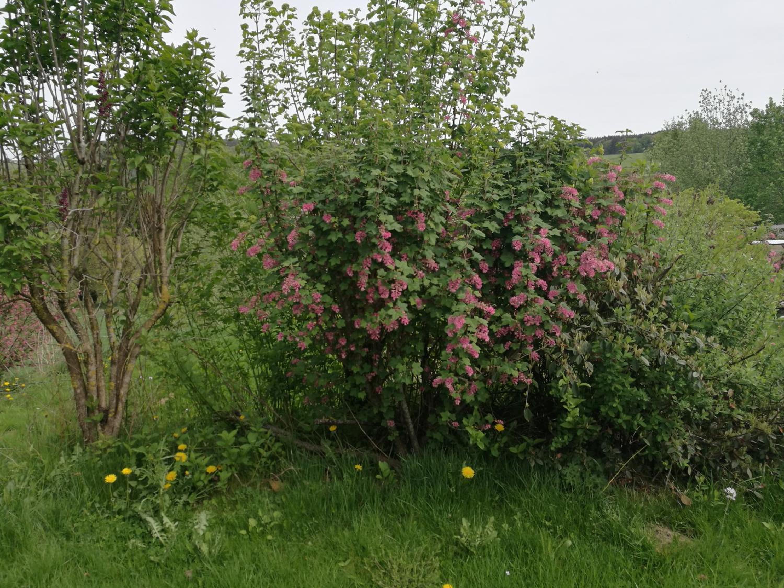 Photo 92