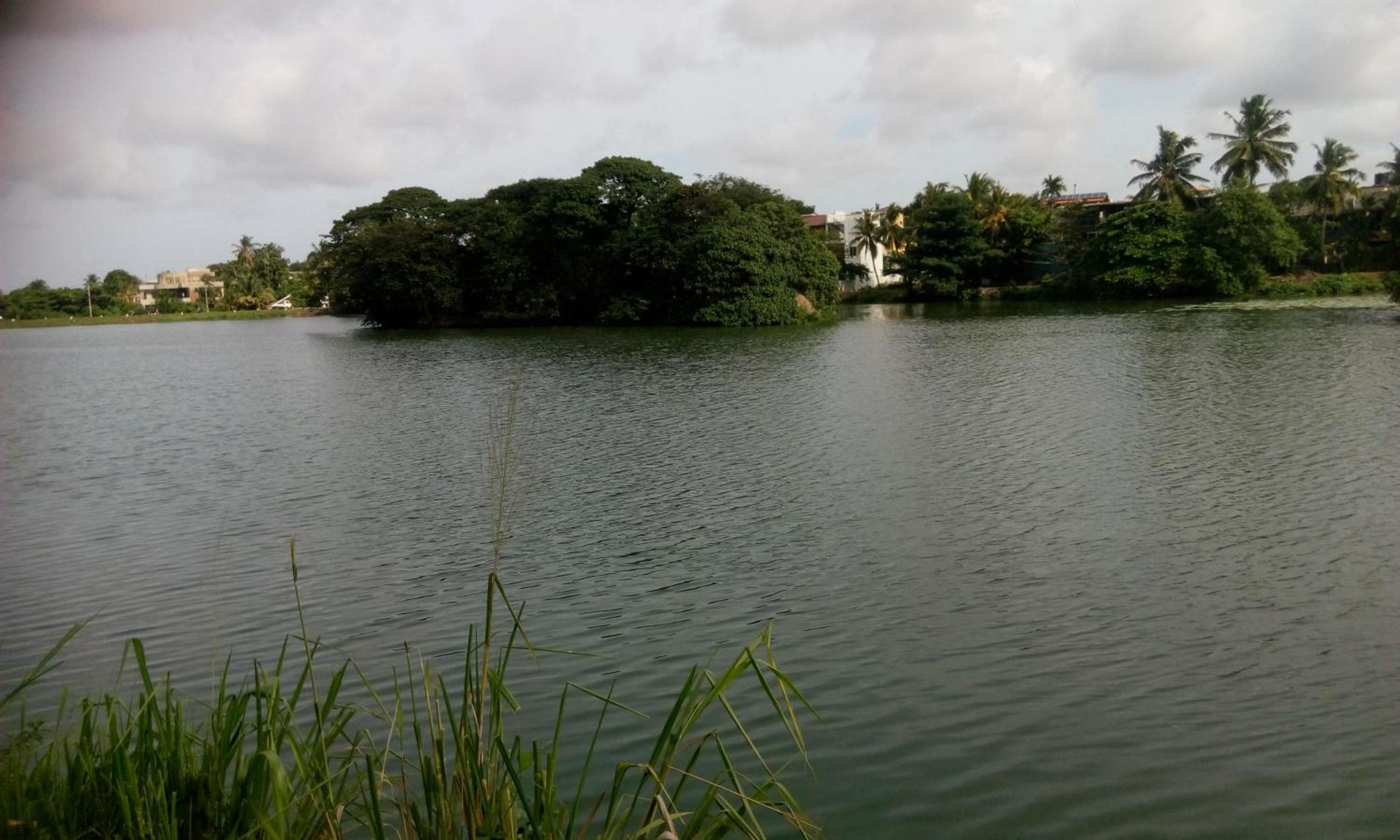 Photo 48
