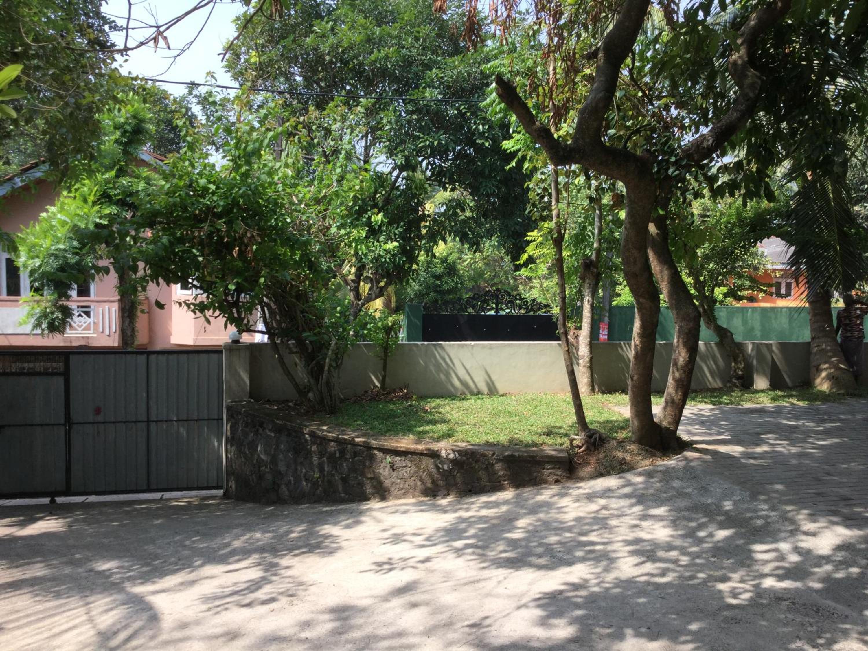 Photo 46