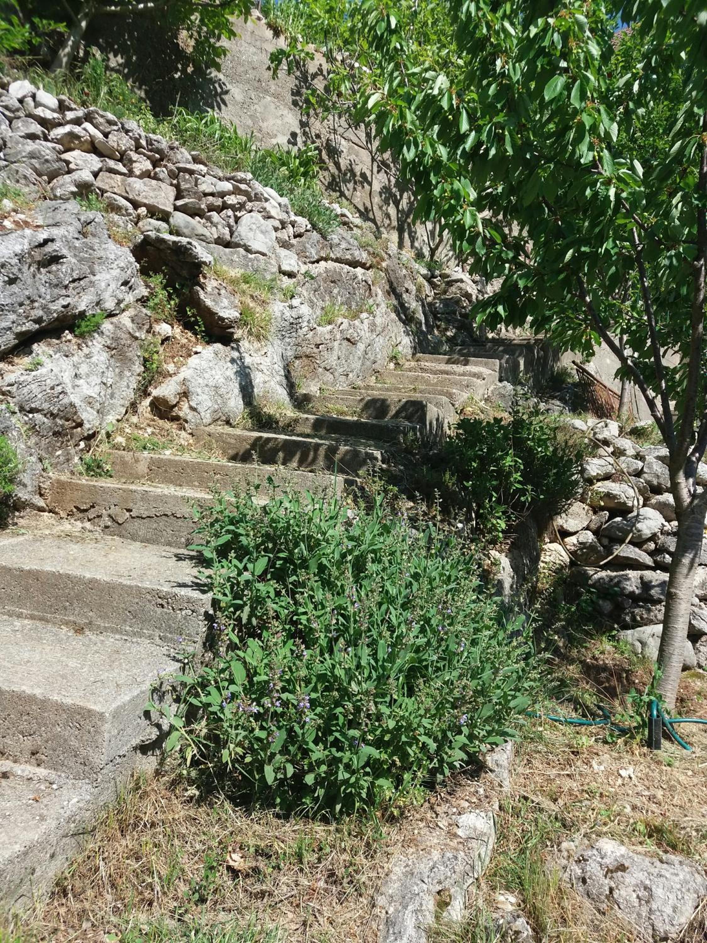Kuća Lavanda