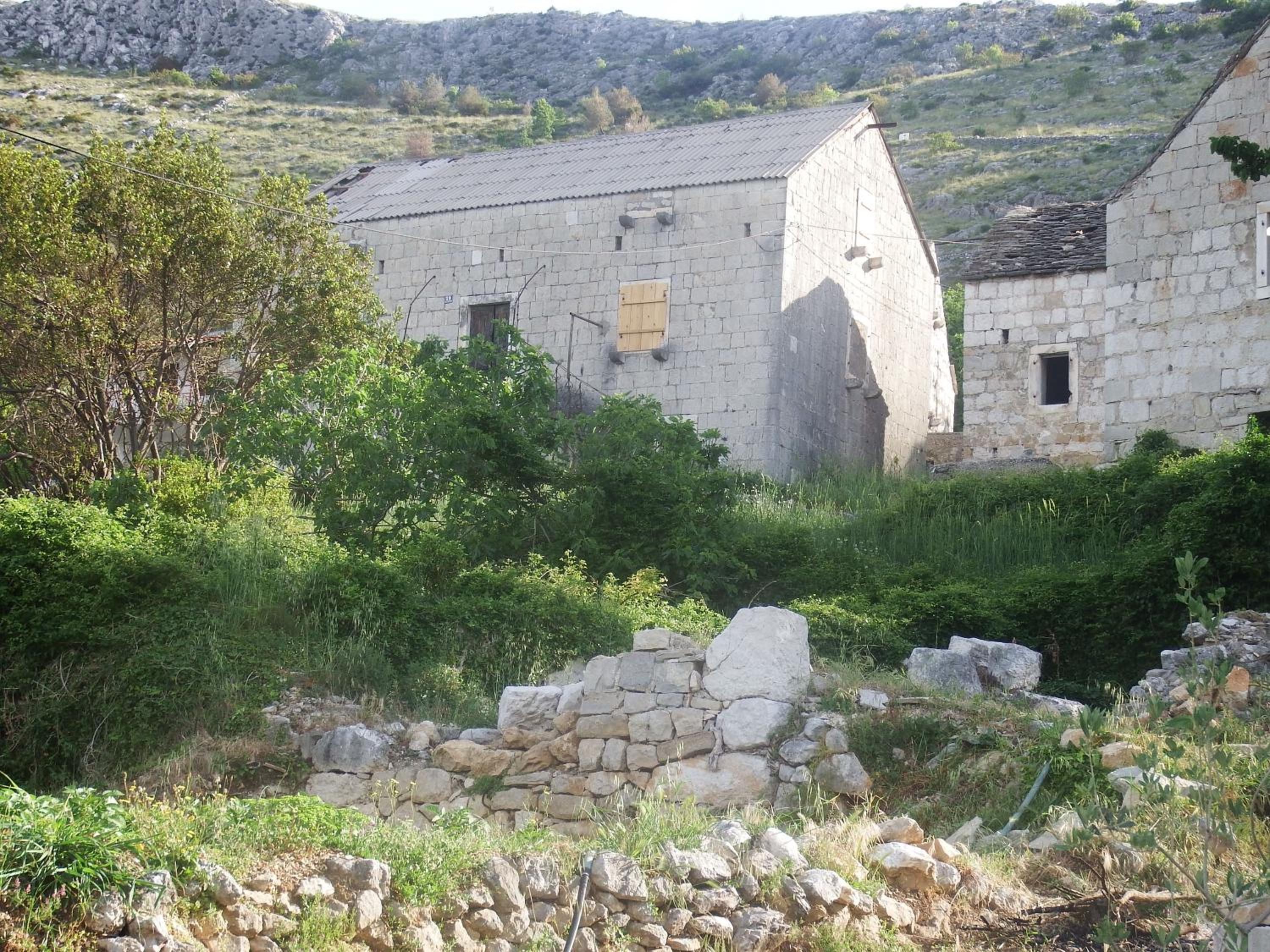 Photo 47