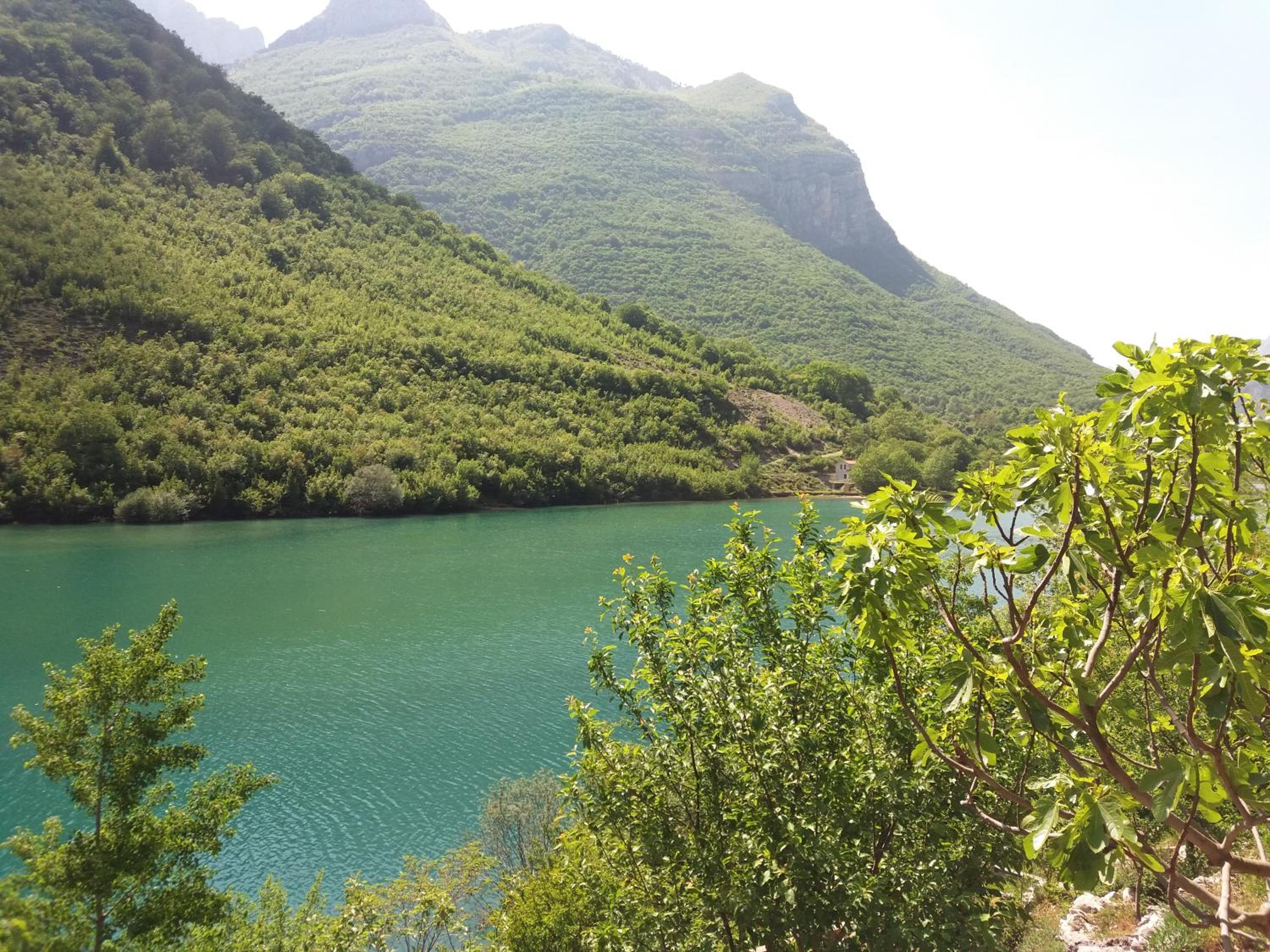 Kuća Lavanda