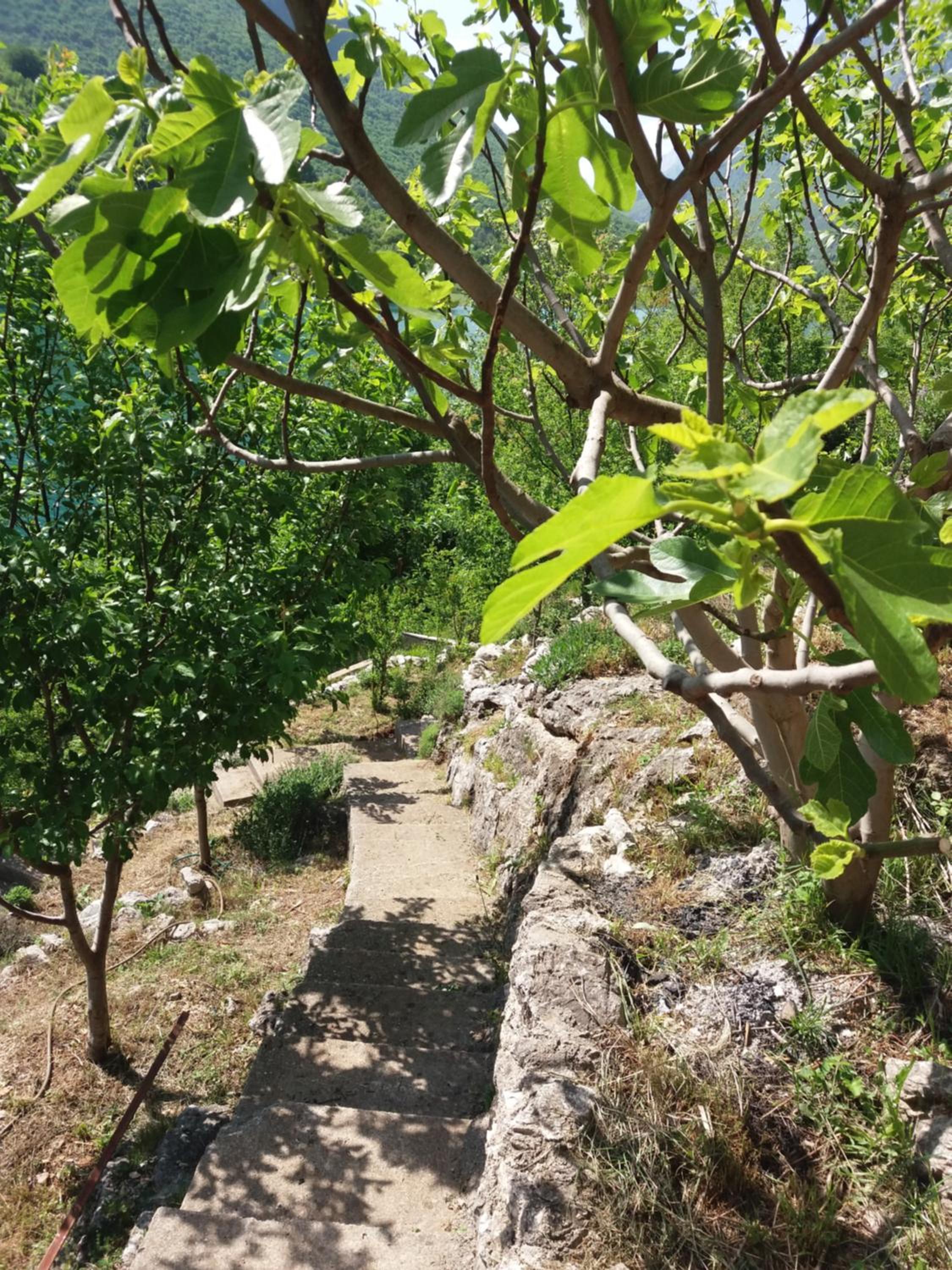 Kuća Lavanda