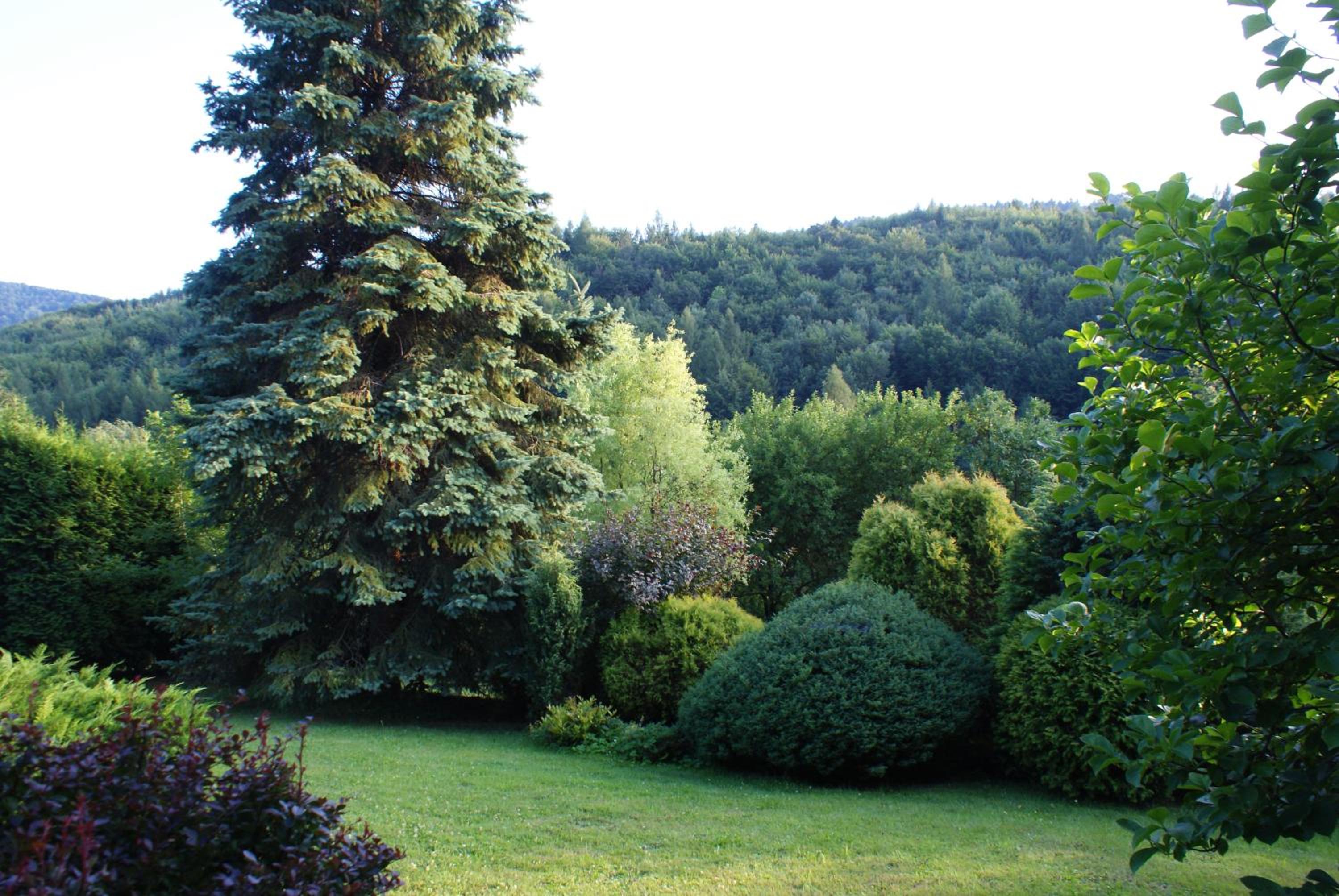 Willa Kasztelańska view 5