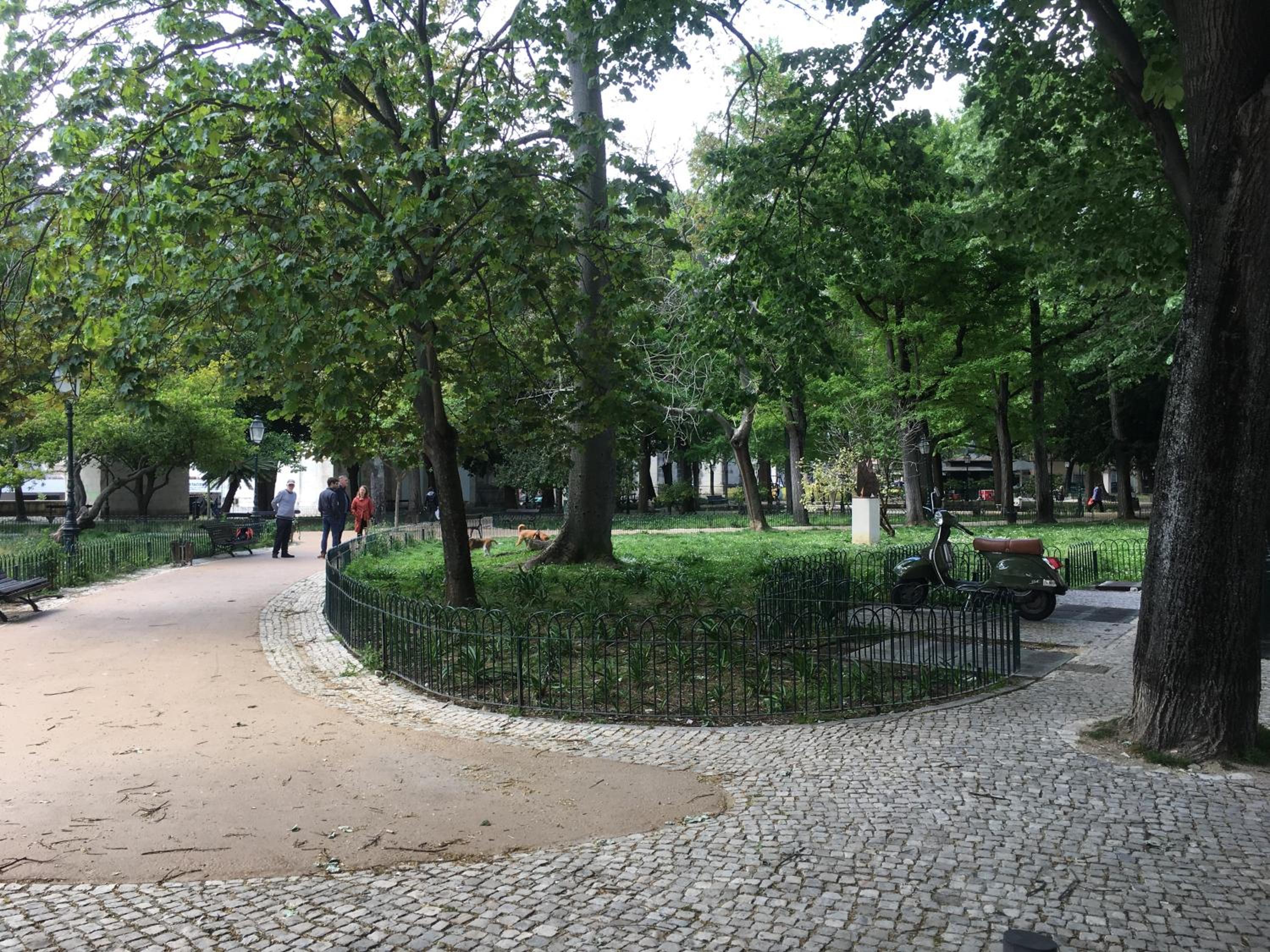 Photo 35