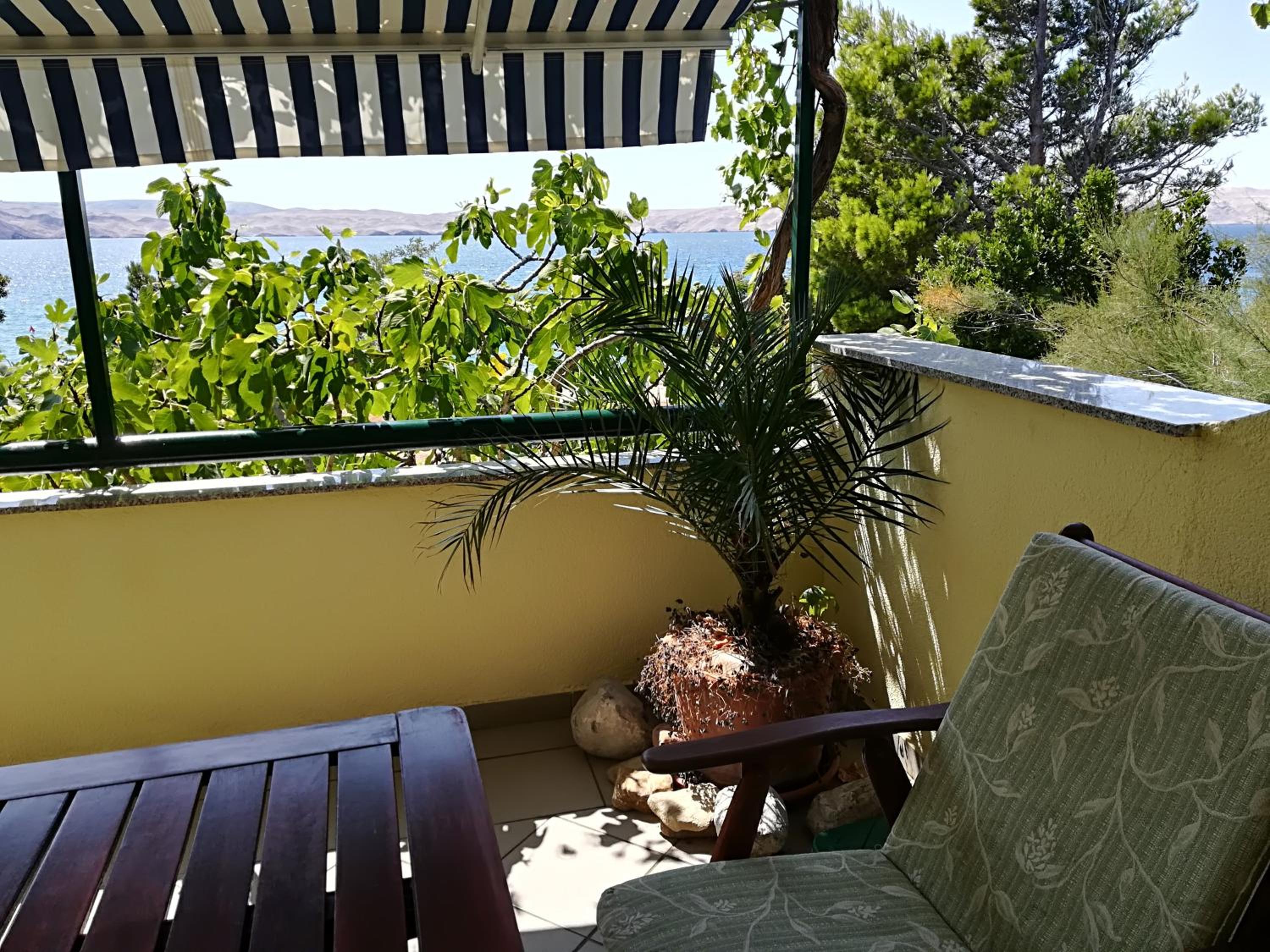 Photo 32