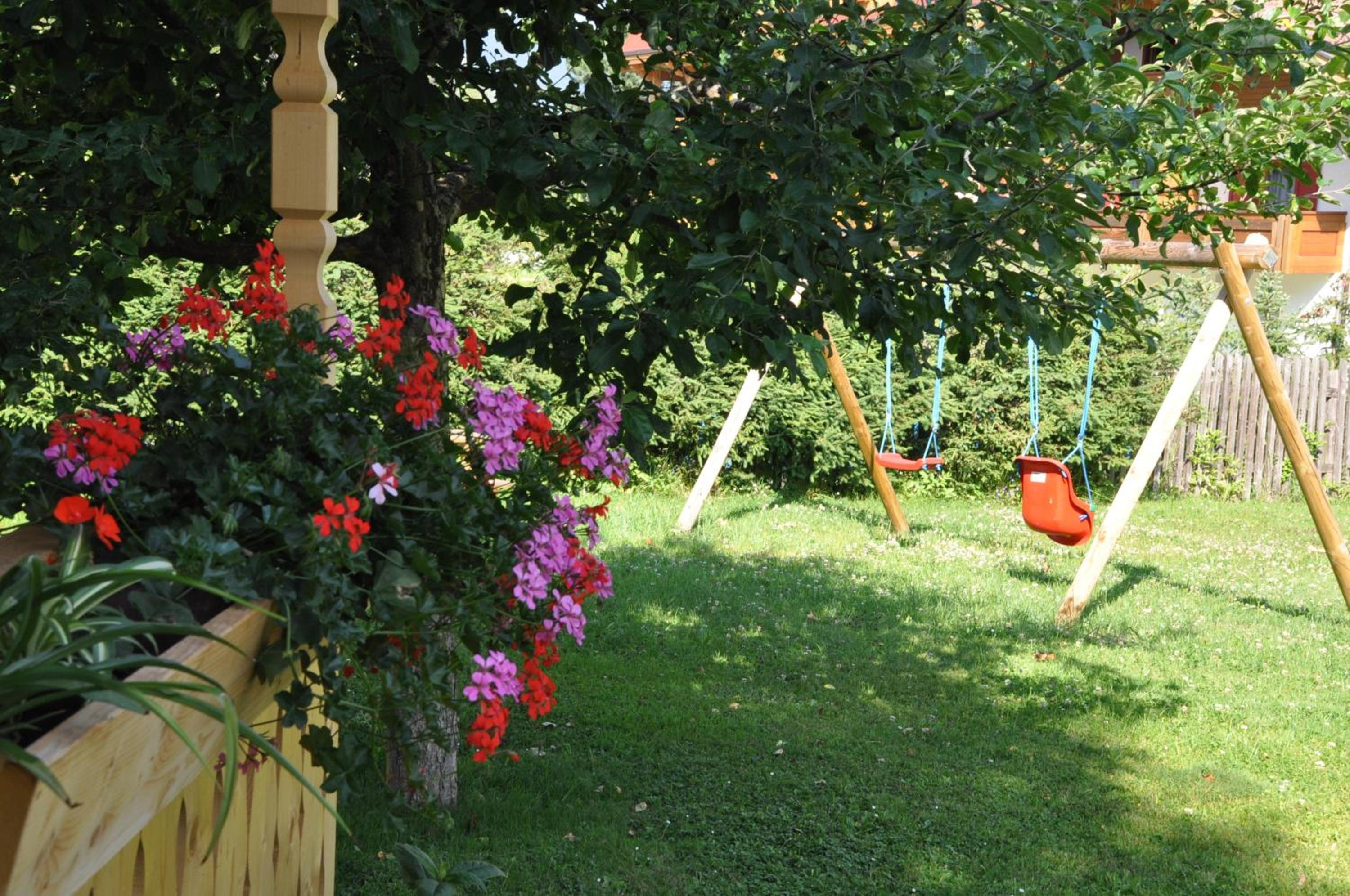 Photo 24