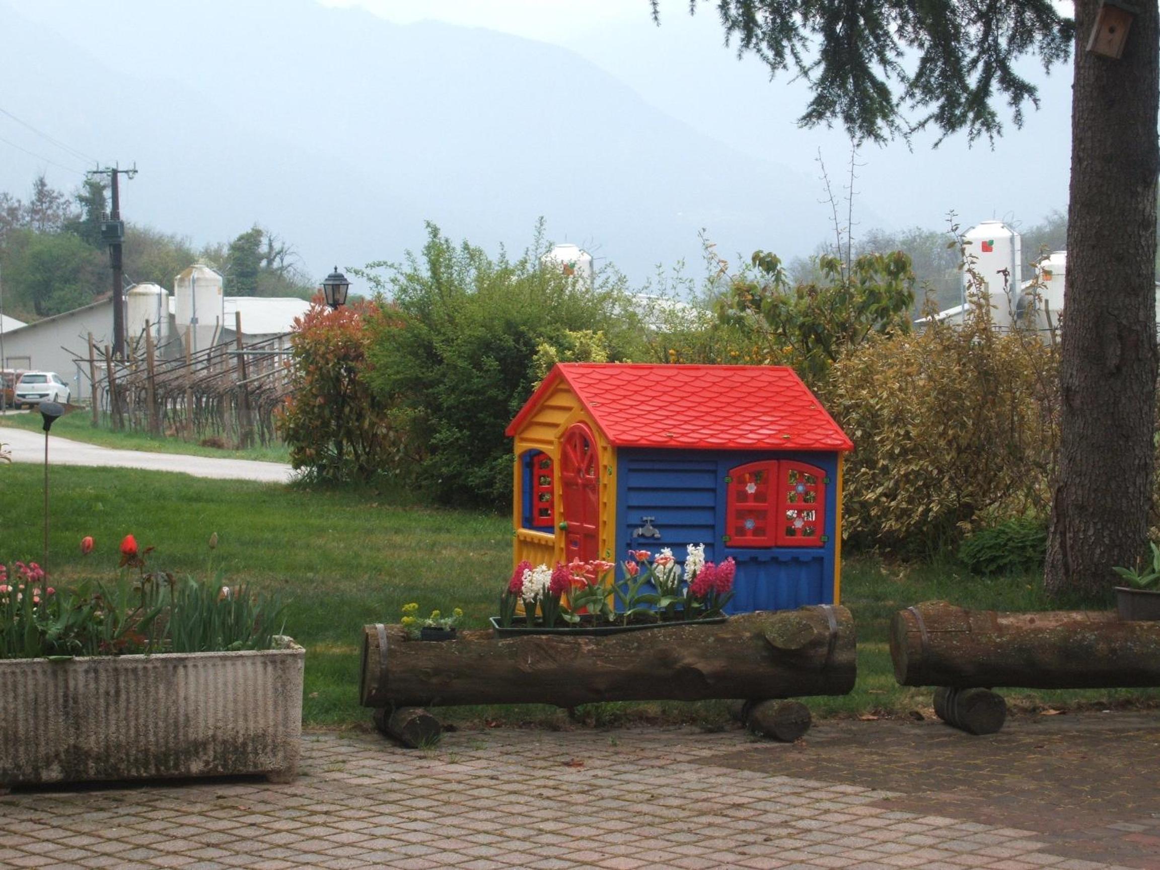 Photo 9