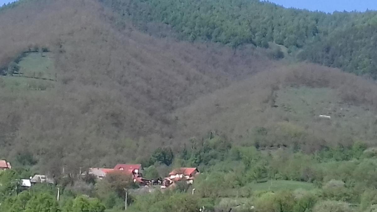 Photo 33