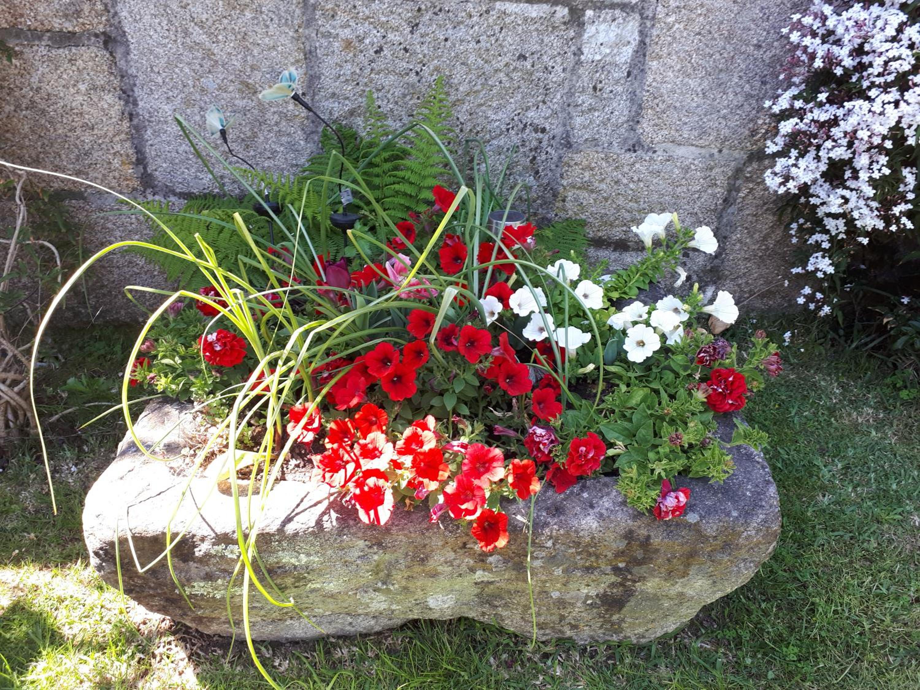 Photo 38
