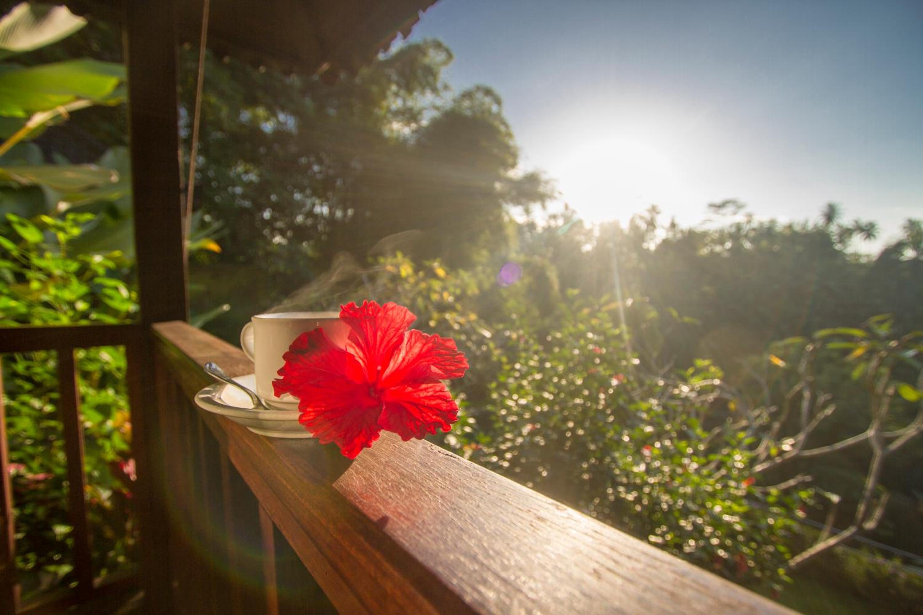 Villa Wedang view 3