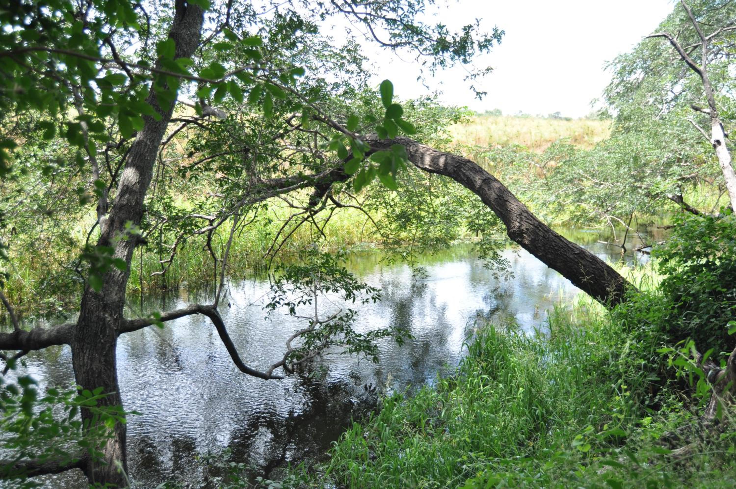 ASKIESBOS - Samochima Bush Camp