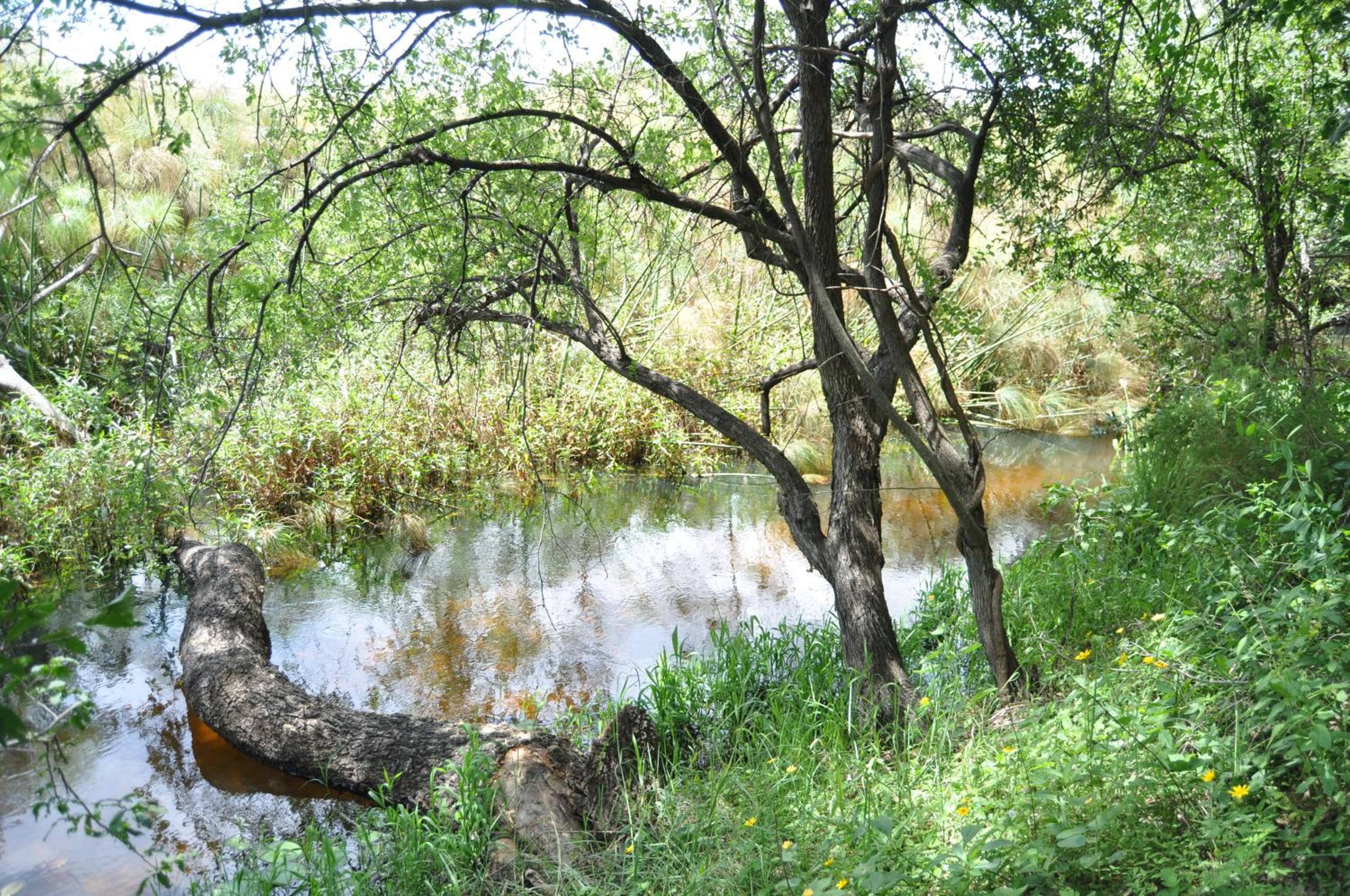 ASKIESBOS - Samochima Bush Camp