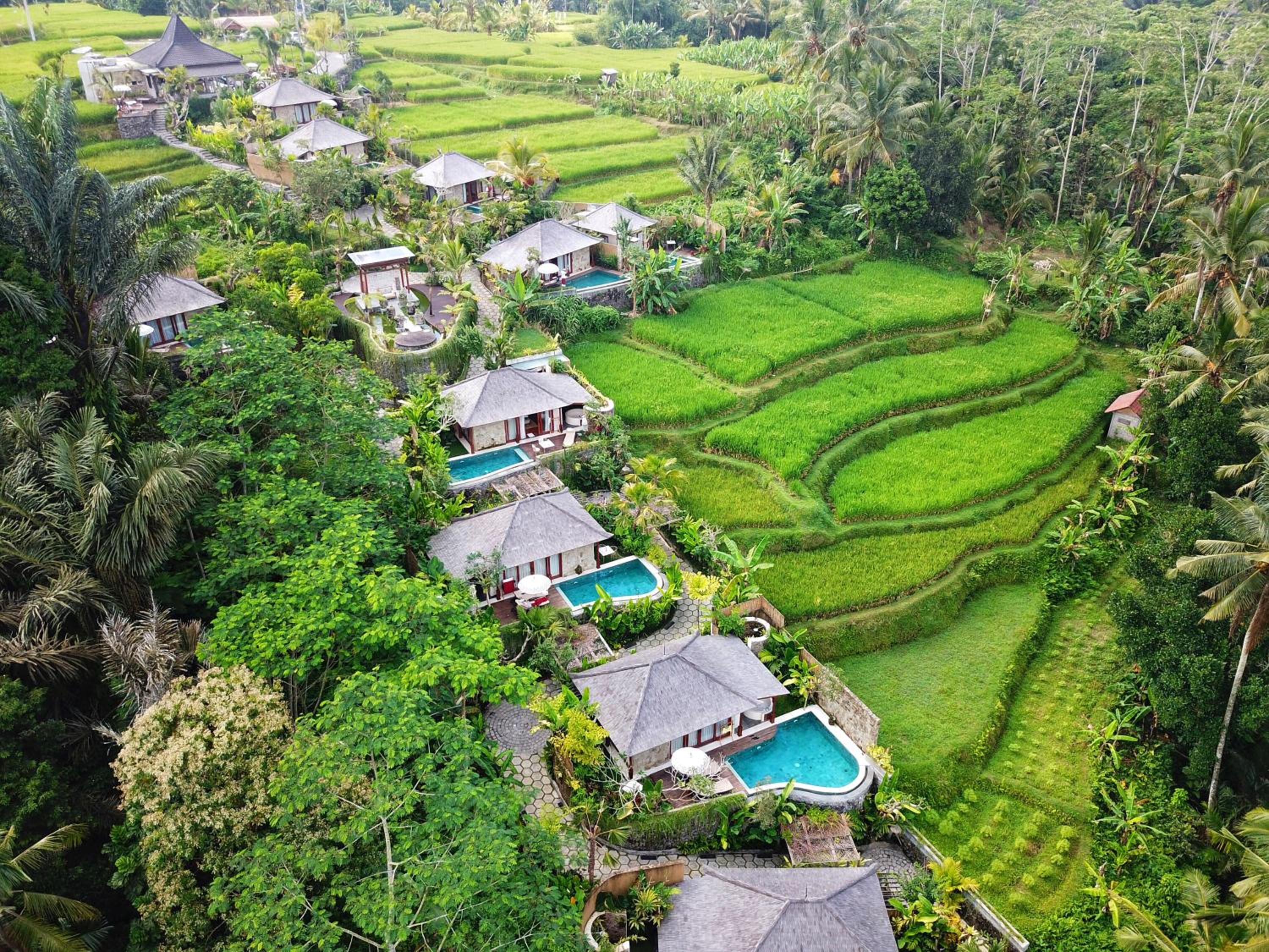 Hotel Nau Villa Ubud