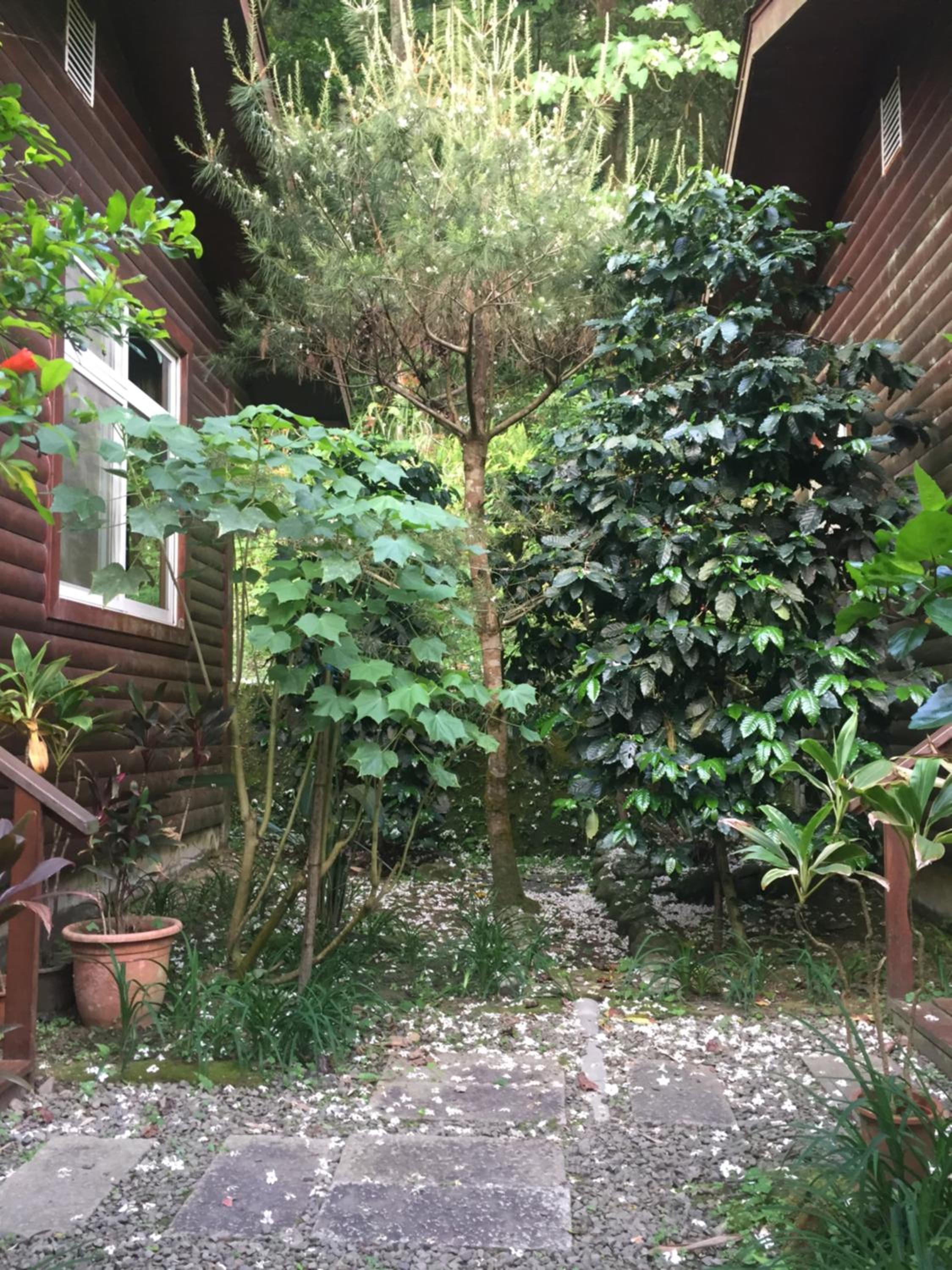 Photo 39