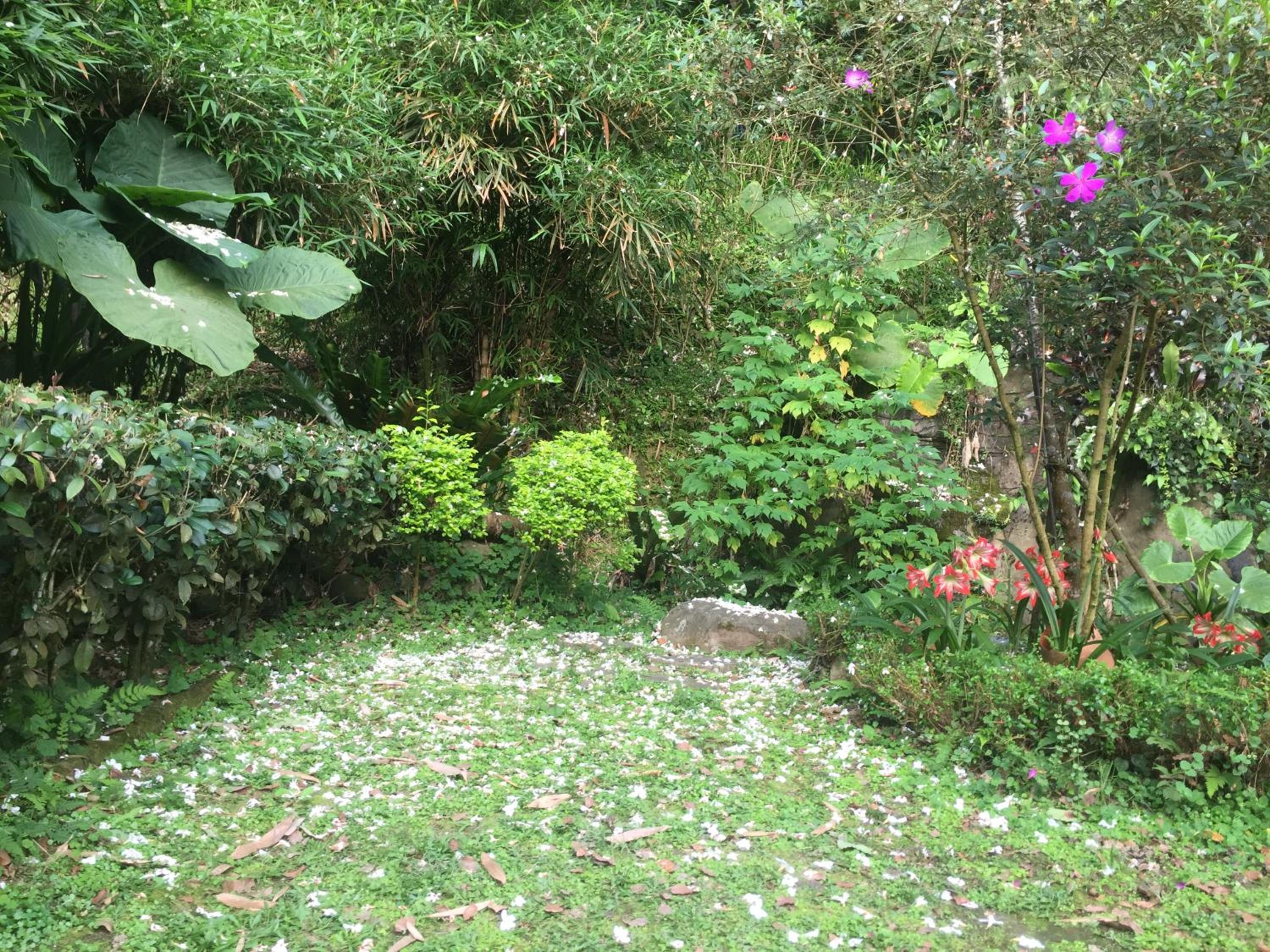 Photo 57