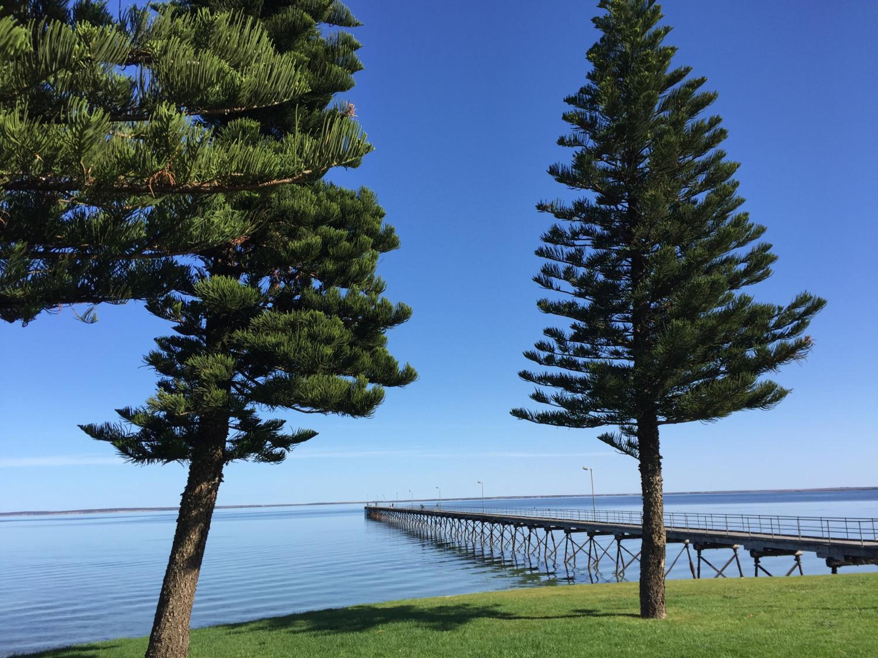 Ceduna Motor Inn