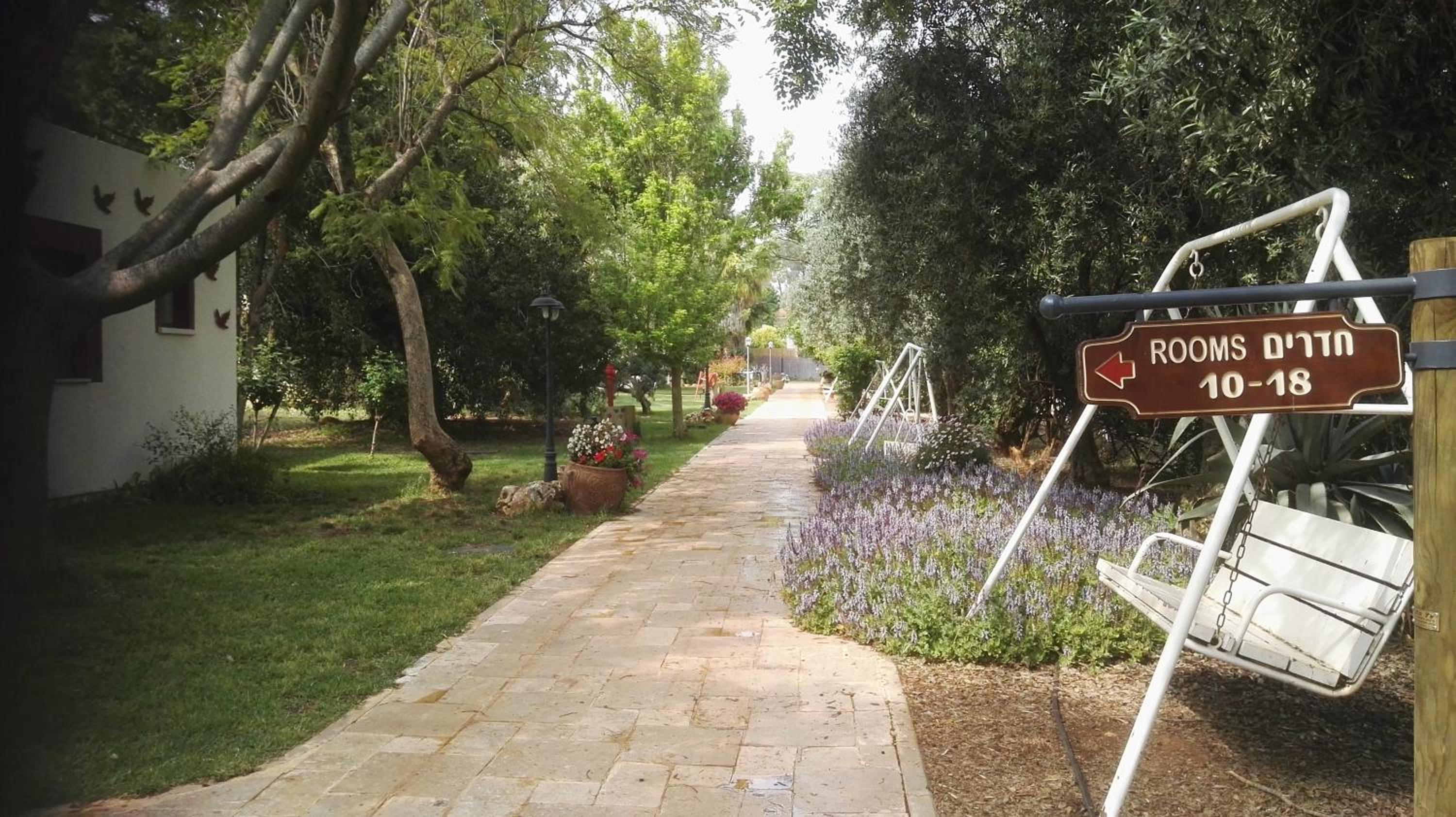 garden