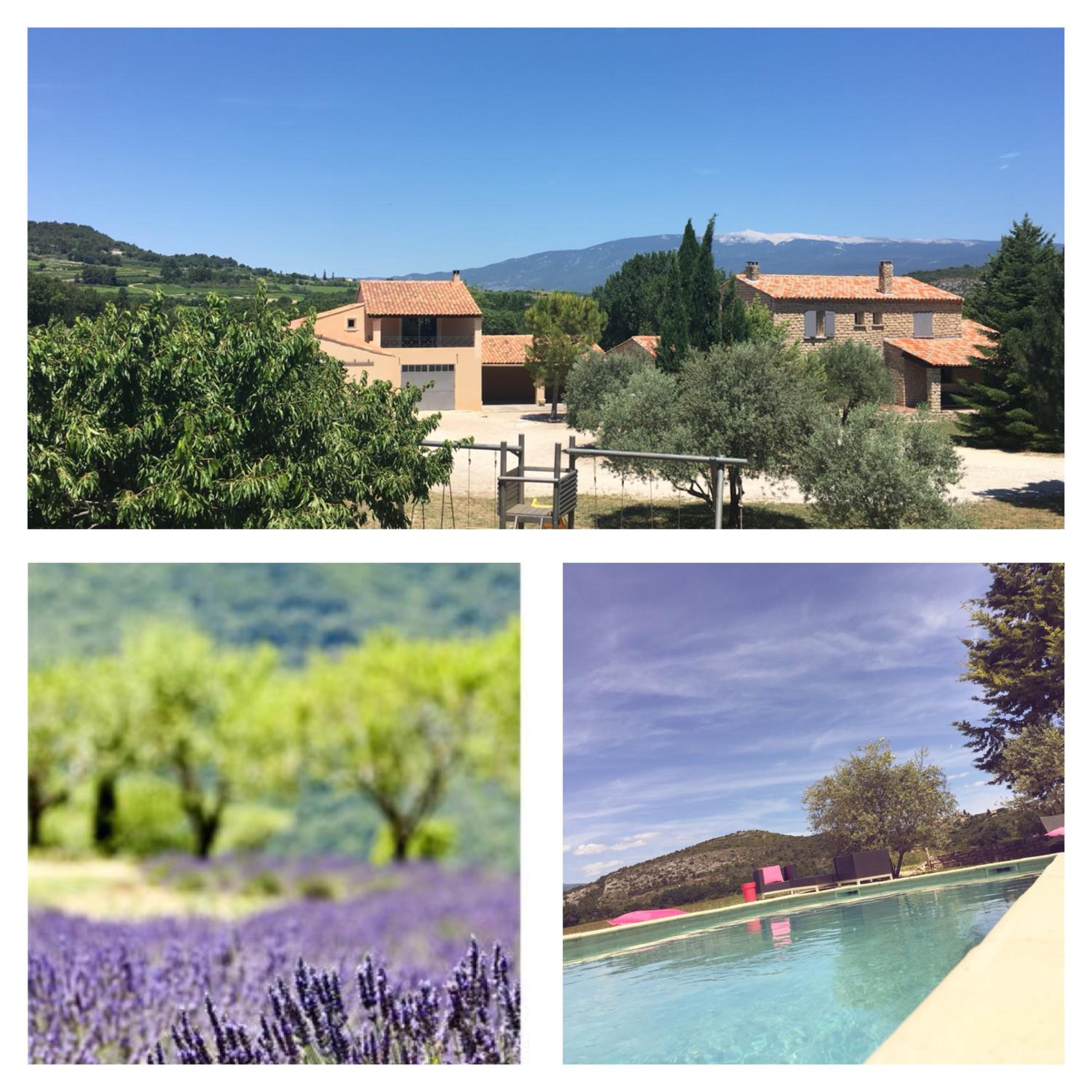 Entre Vignes et Collines view 4