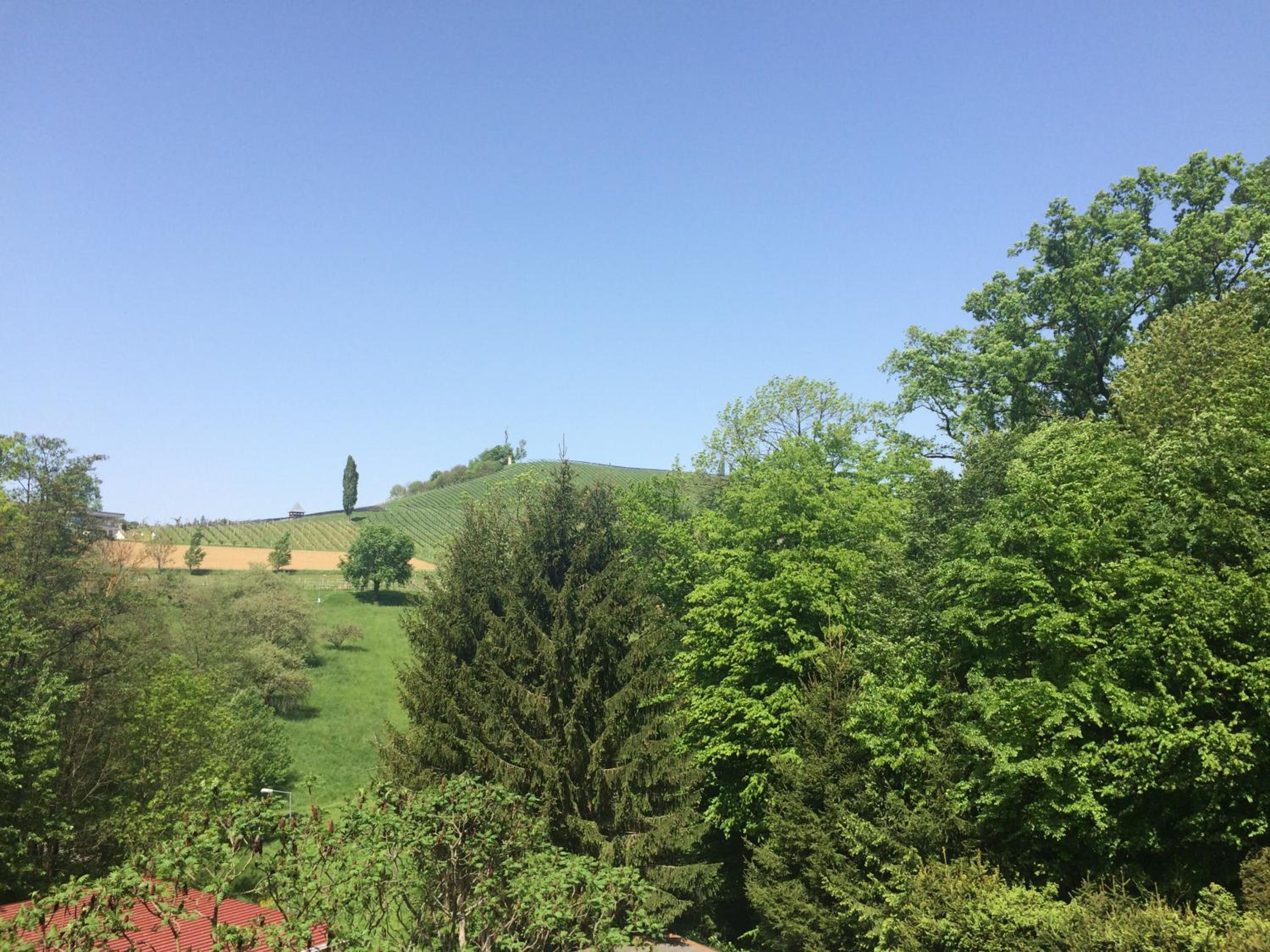 Ferienwohnungen Urbanitsch view 4