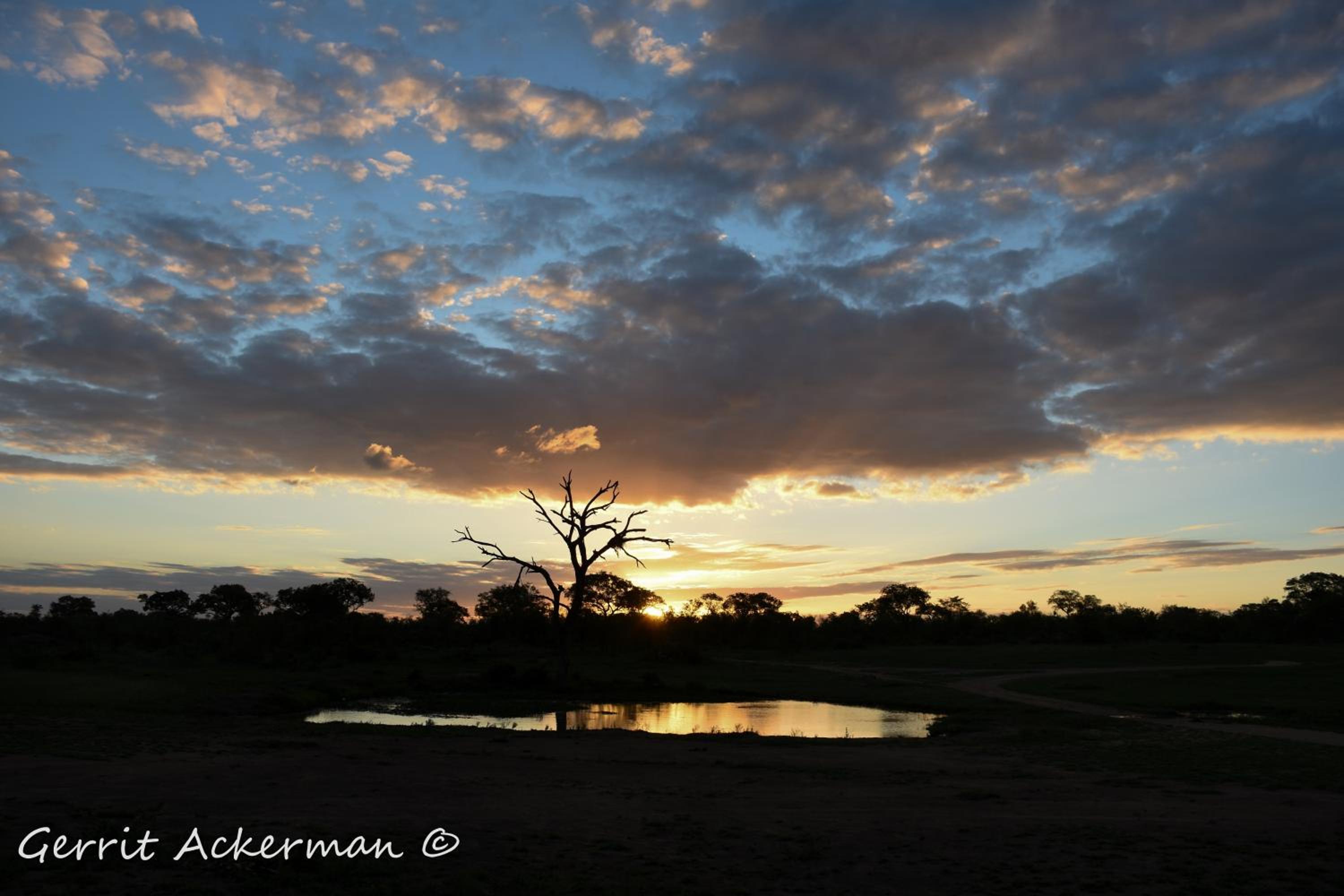 Elephant Plains Game Lodge