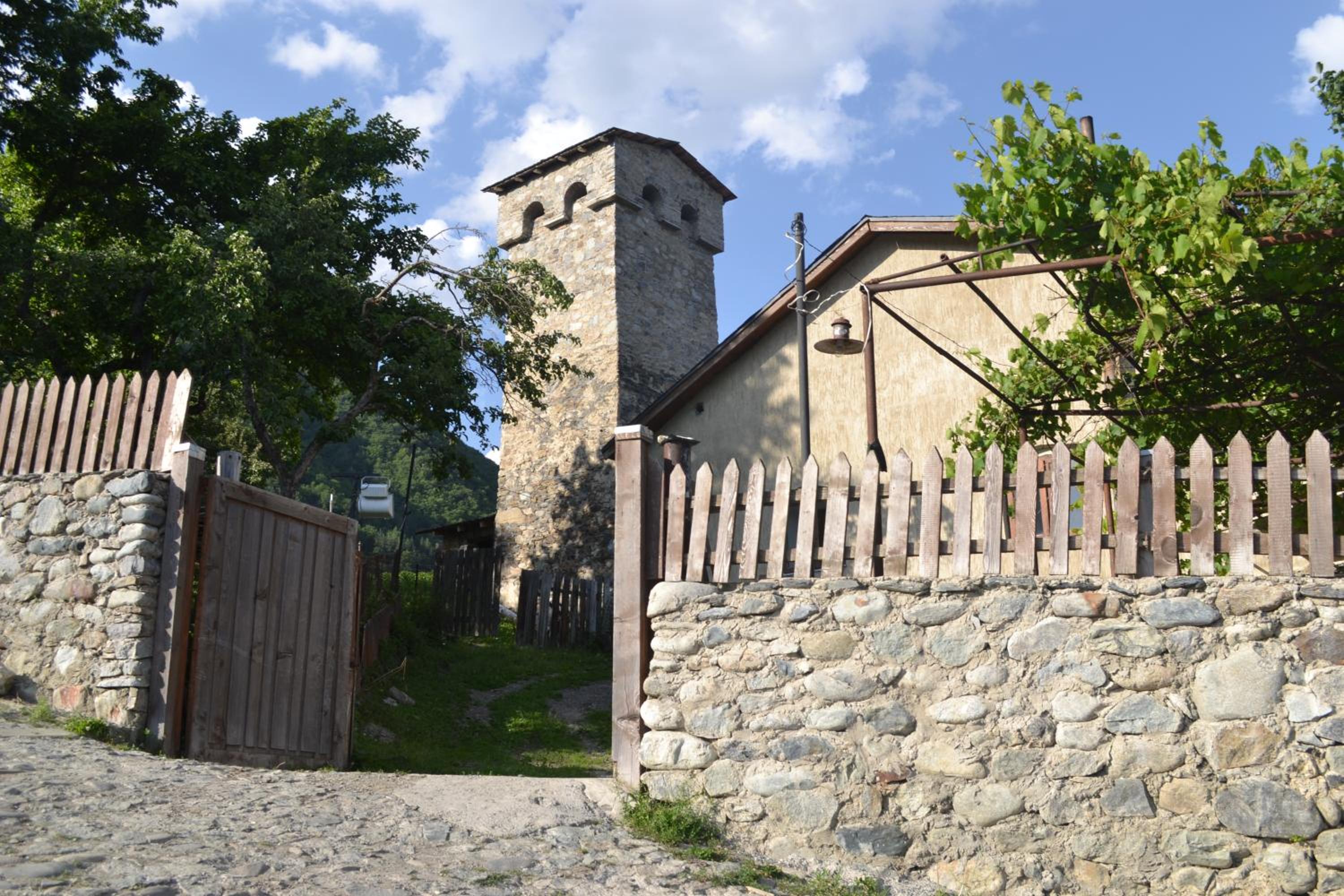 Photo 12