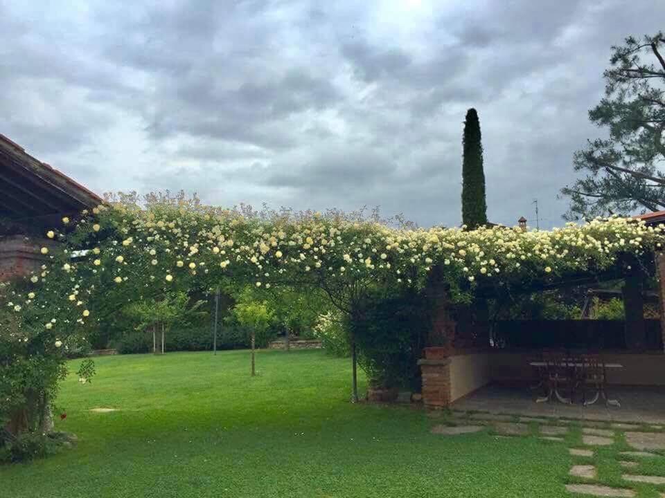 Osteria I'Casolare view 3