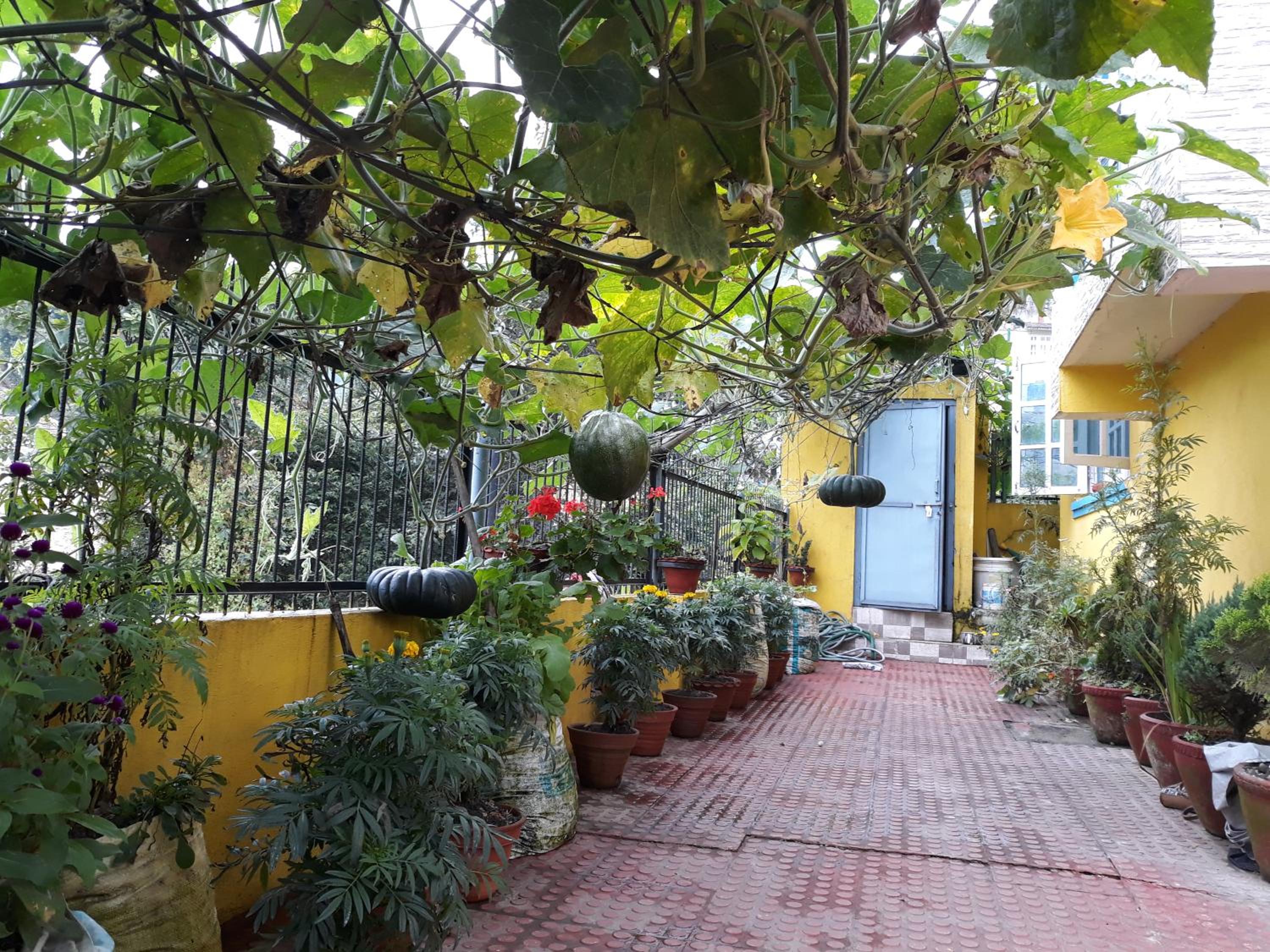 Dahachok Homestay