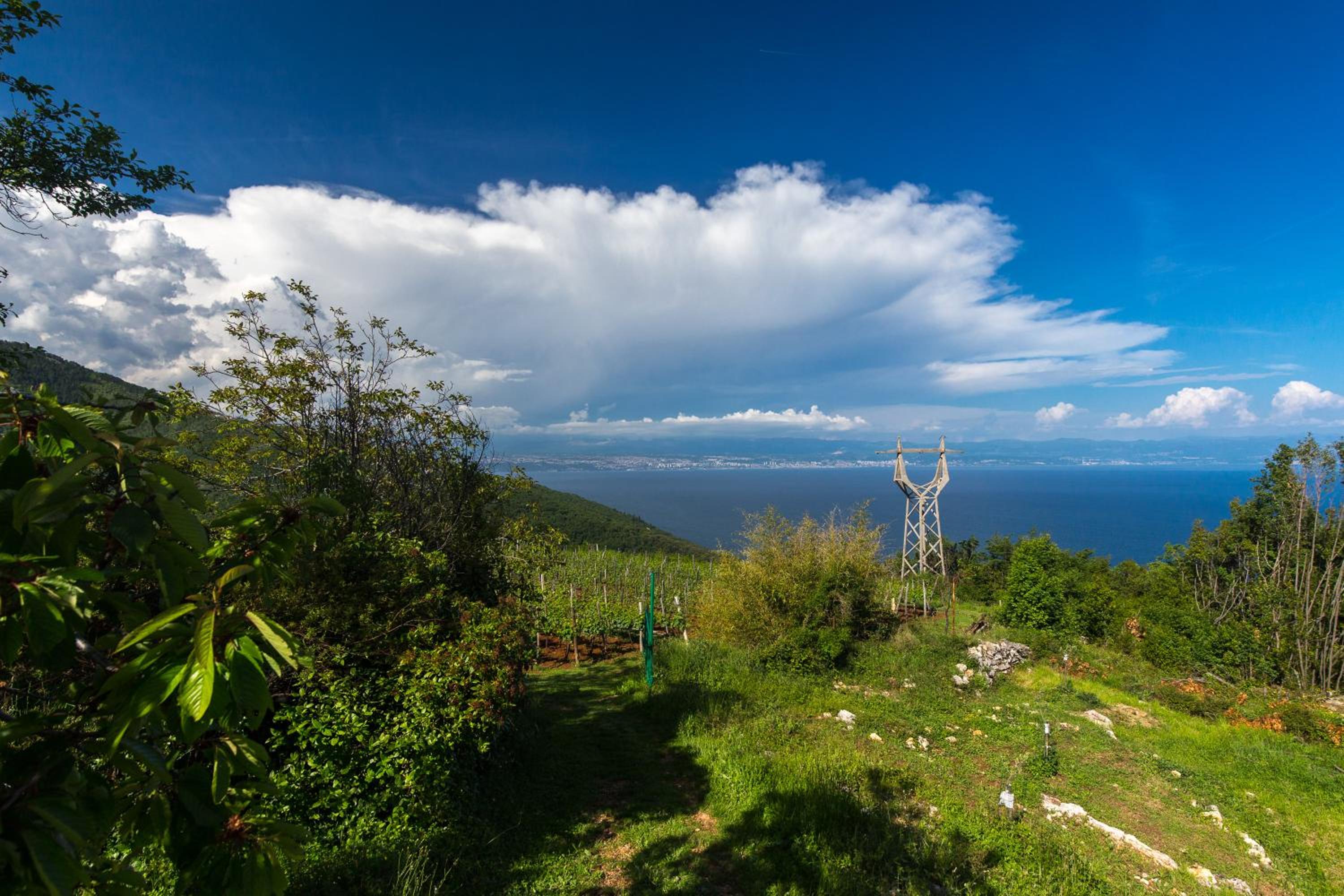 The View Studio Moscenice view 2