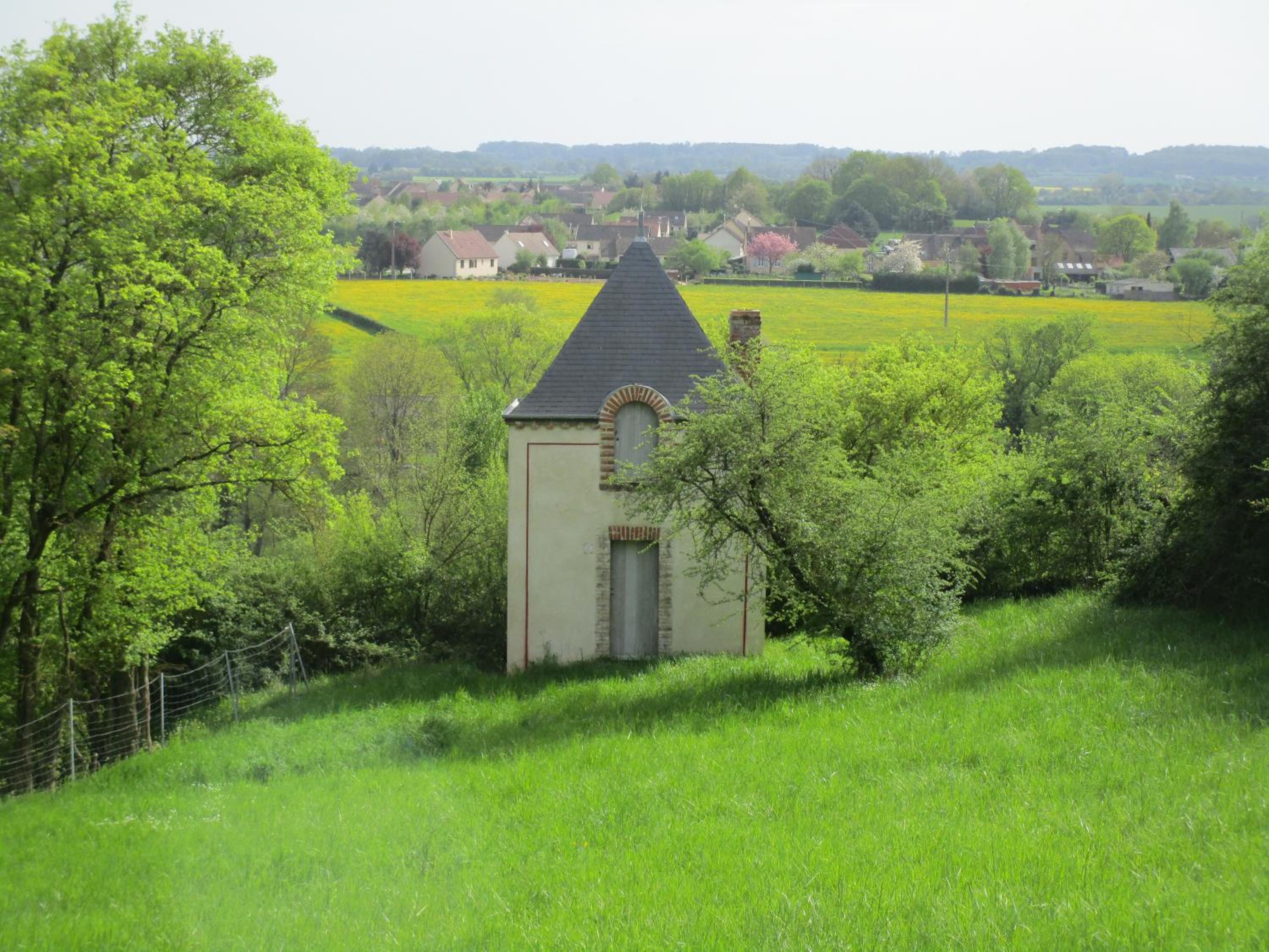 Photo 11