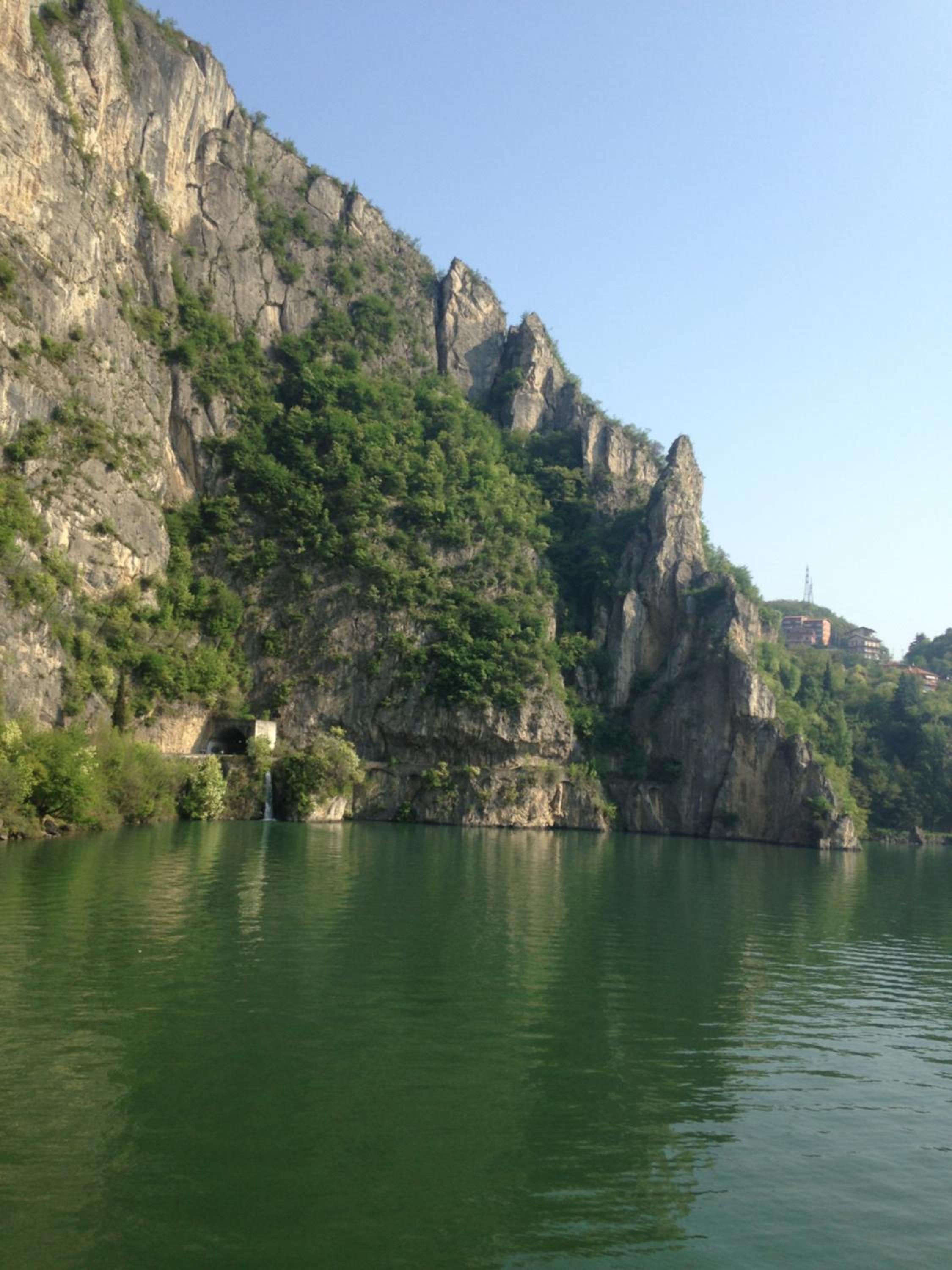 Photo 41