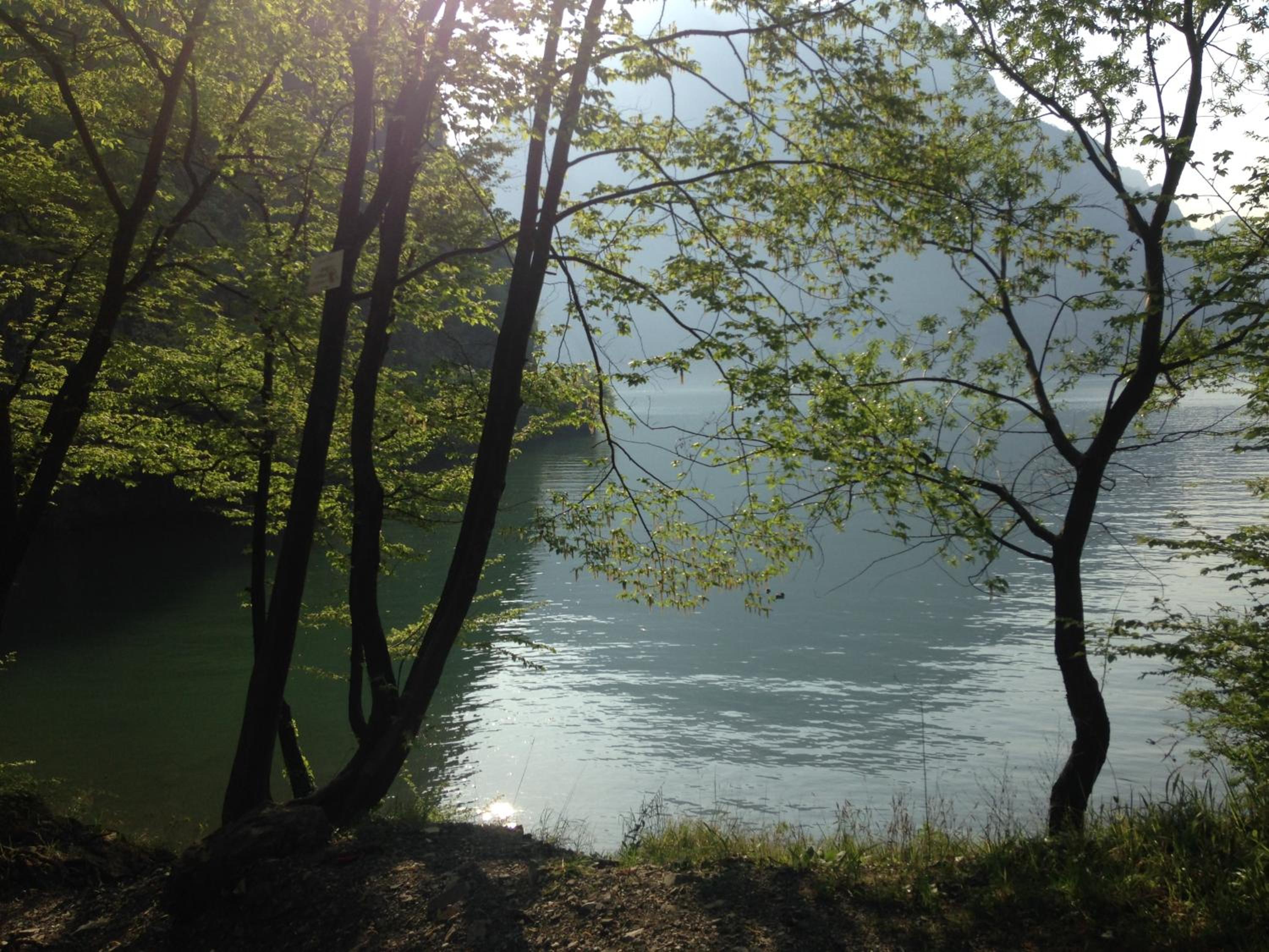 Photo 40