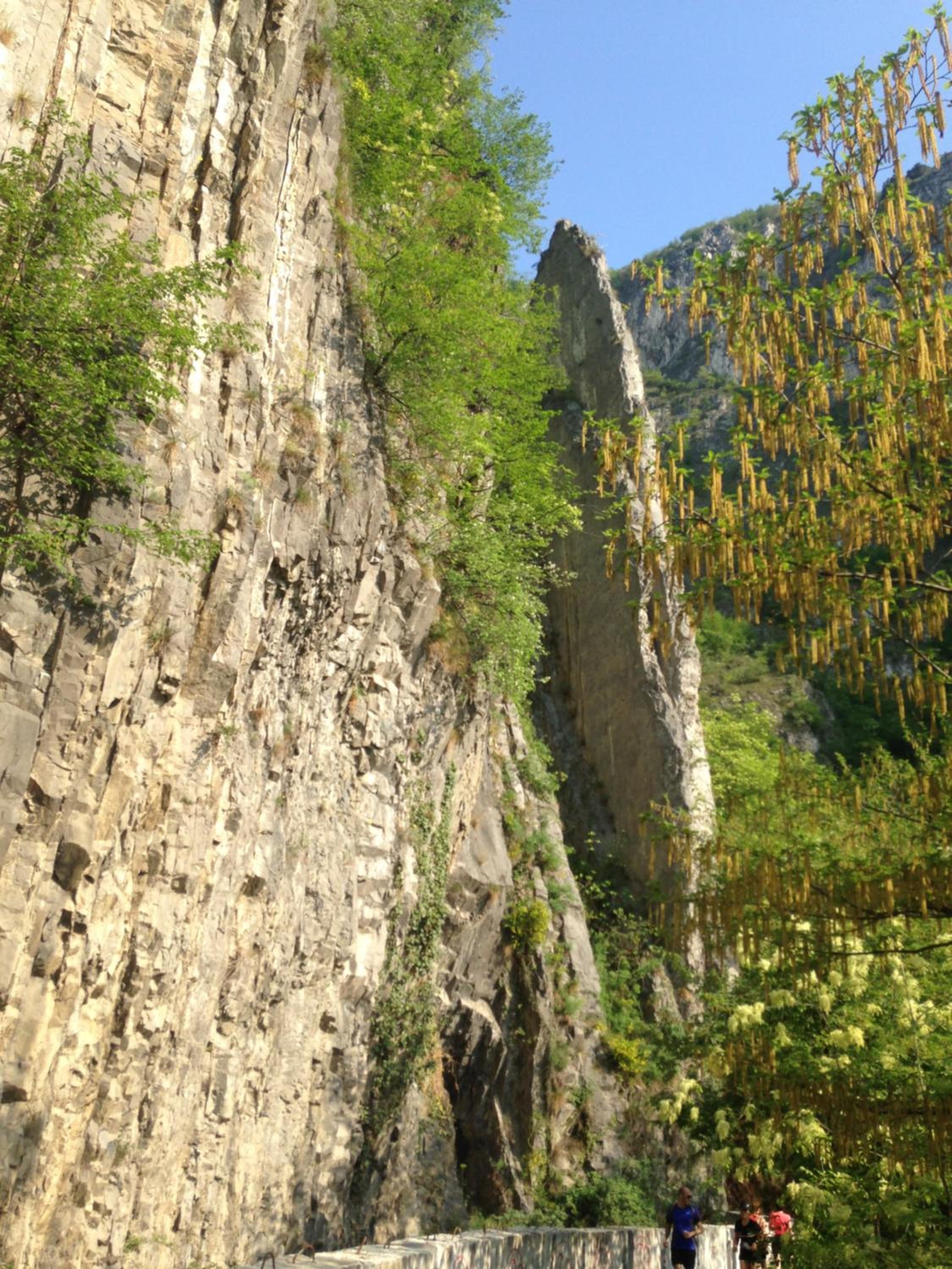 Photo 42