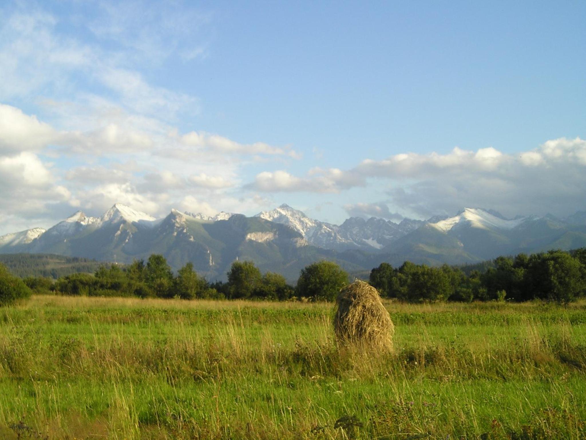 Photo 24