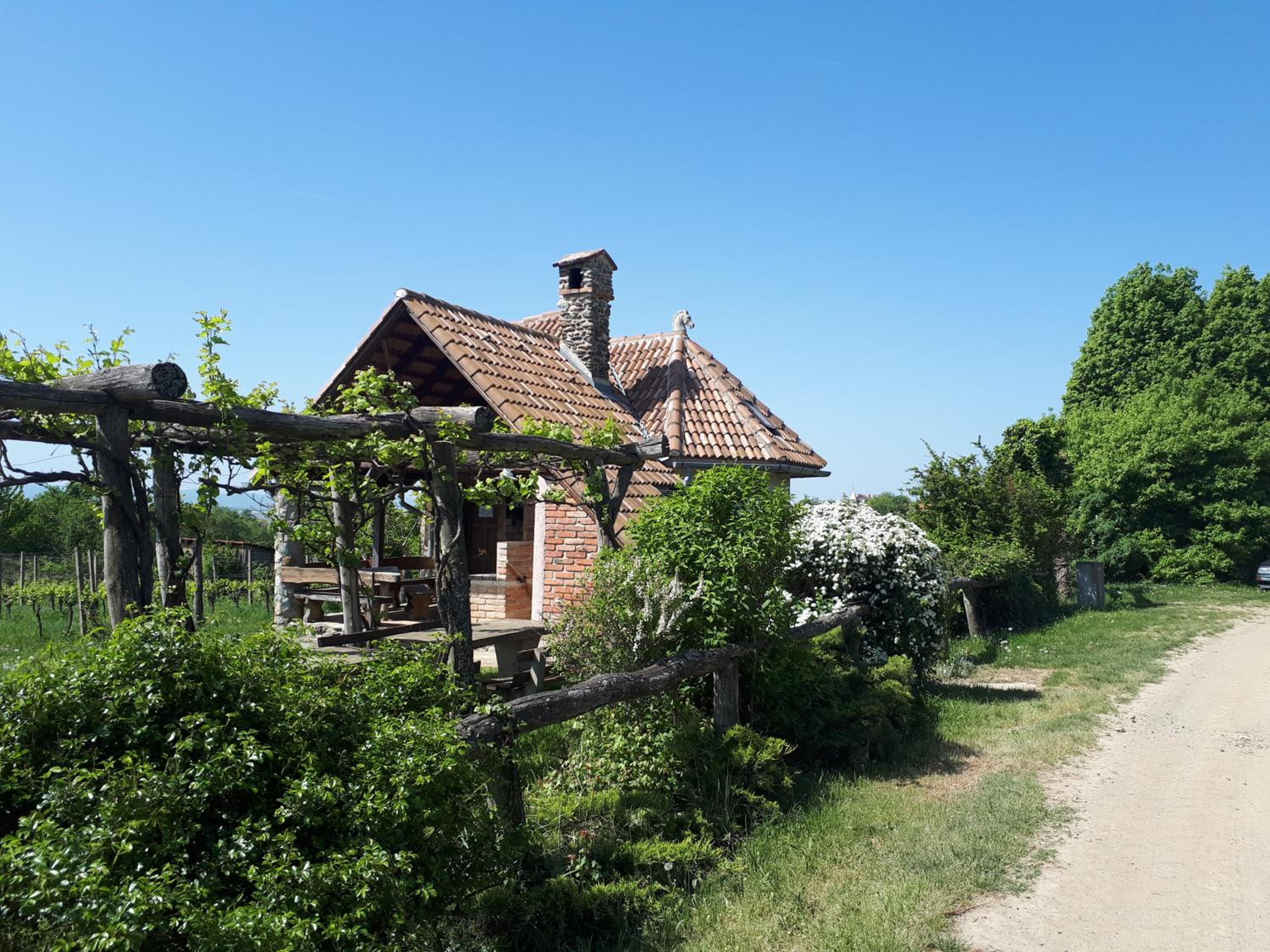 Photo 8