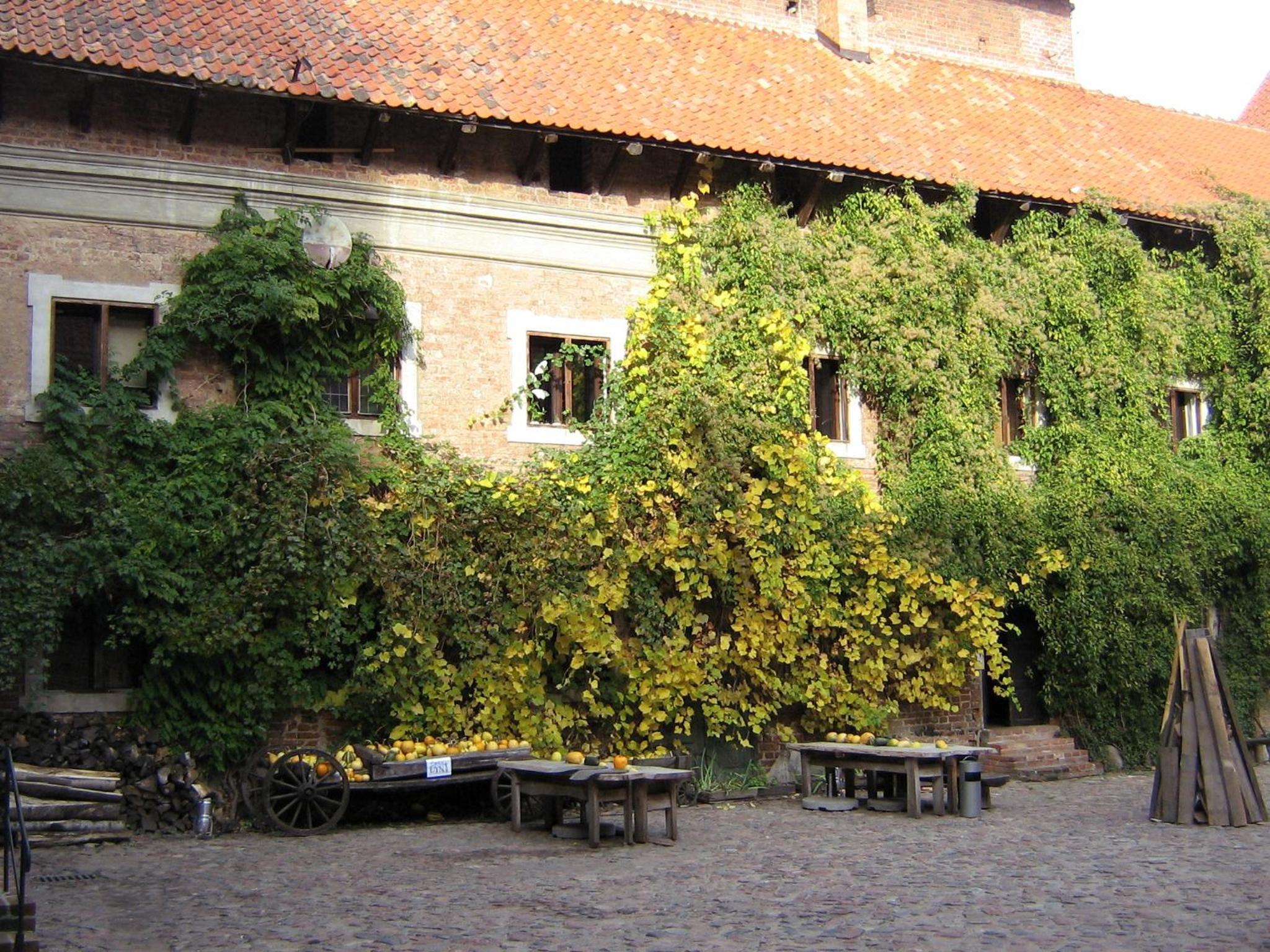 Photo 48