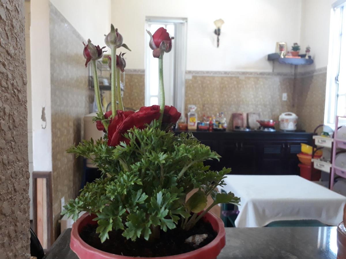 Photo 53
