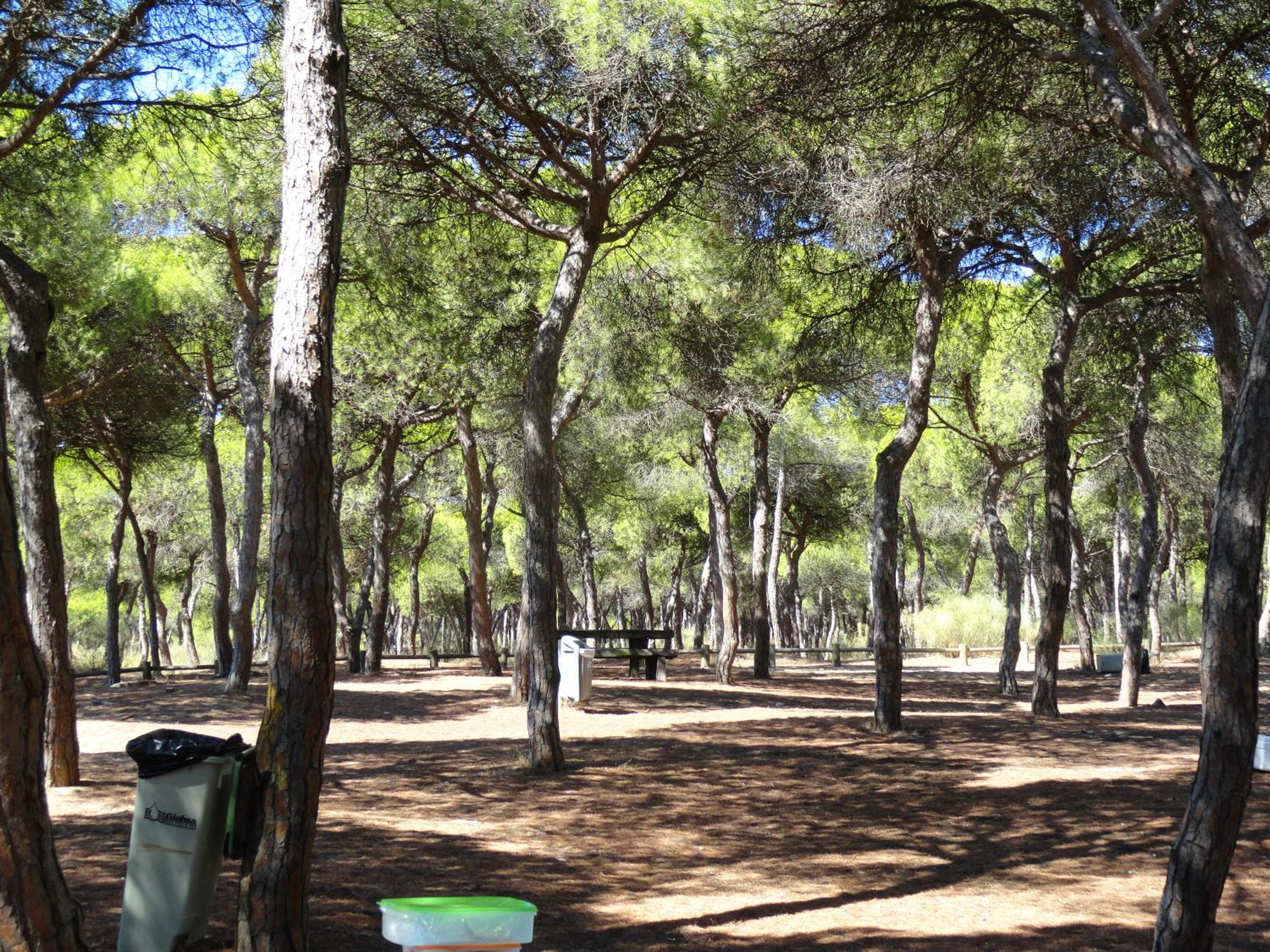 Alagoa Blau — photo 4